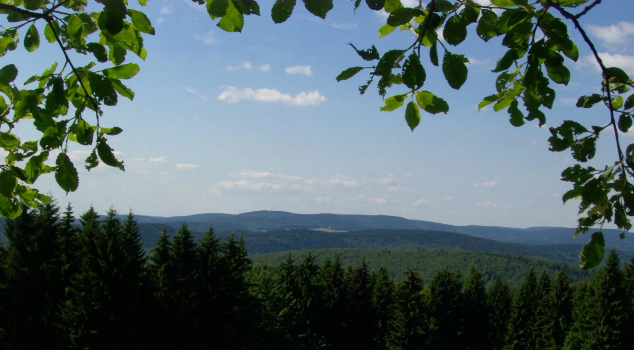 Photo showing: Adlersberg (849 m, links der Mitte, Turm) mit Neuhäuser Hügel (891 m, rechts der Mitte) vom Kalten Staudenkopf (768 m) aus. Die Wiese unterhalb dazwischen liegt am Stutenhaus bei Vesser. Ganz rechts der Große Eisenberg mit dem Salzberg (866 m, deutlich links davon). Hinter dem Sattel dazwischen ist der Große Beerberg (983 m, rechts) mit seinem Vor-Gipfel Wildekopf (943 m, links) erkennbar. Links des Adlersberges die zu seinem Massiv gehörenden Beerberg (808 m) und Großer Dröhberg (ca. 730 m).  Vor dem Neuhäuser Hügel die Hohe Buche (749 m), davor der Sommerberg (712 m).