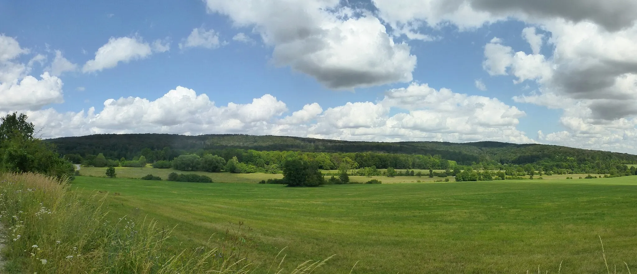 Photo showing: Blick zum südlichen Hainich mit Renn (li) und Rittergassenberg (re)