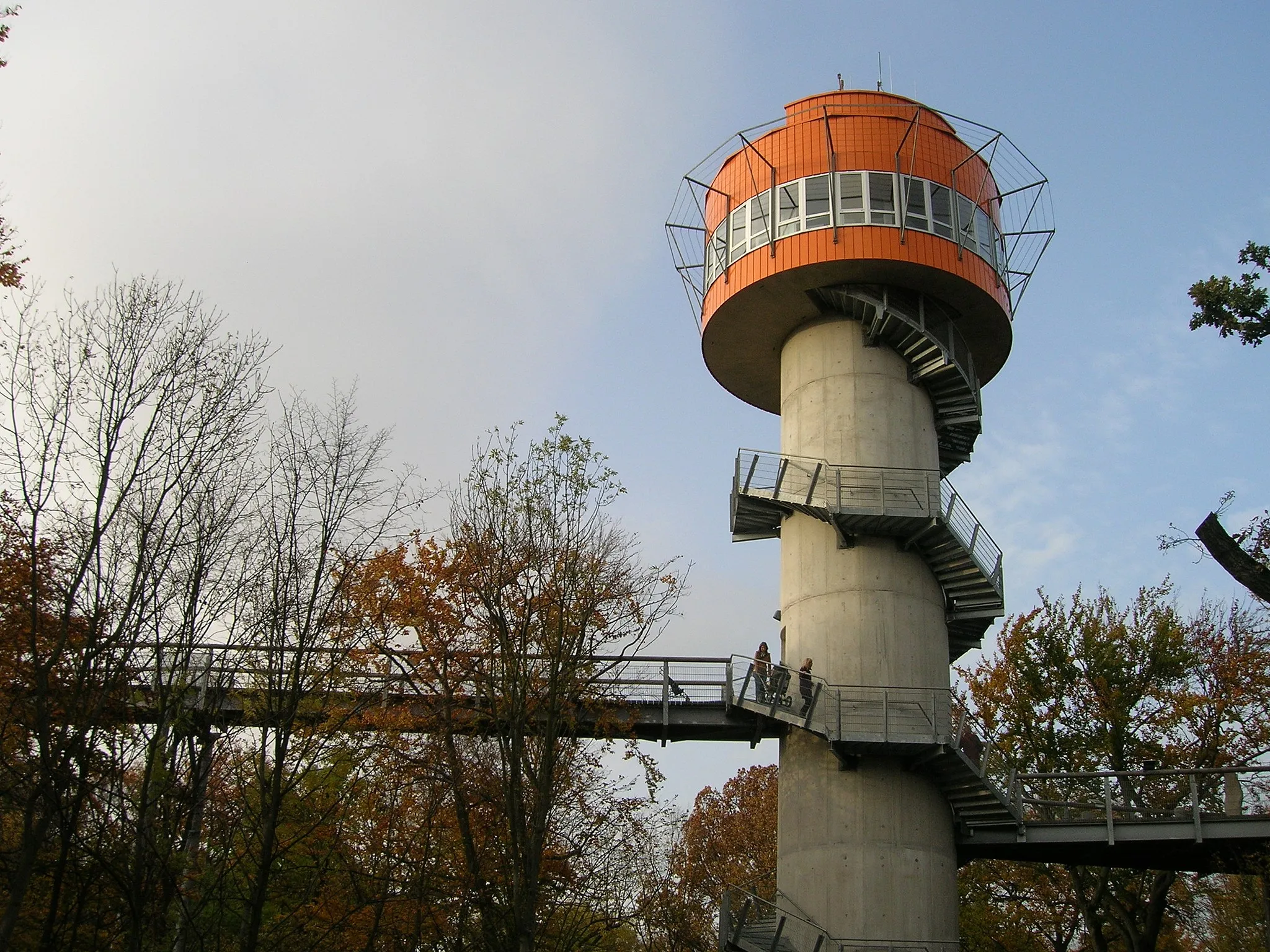 Photo showing: Observation tower of tree crown path in the national park Hainich