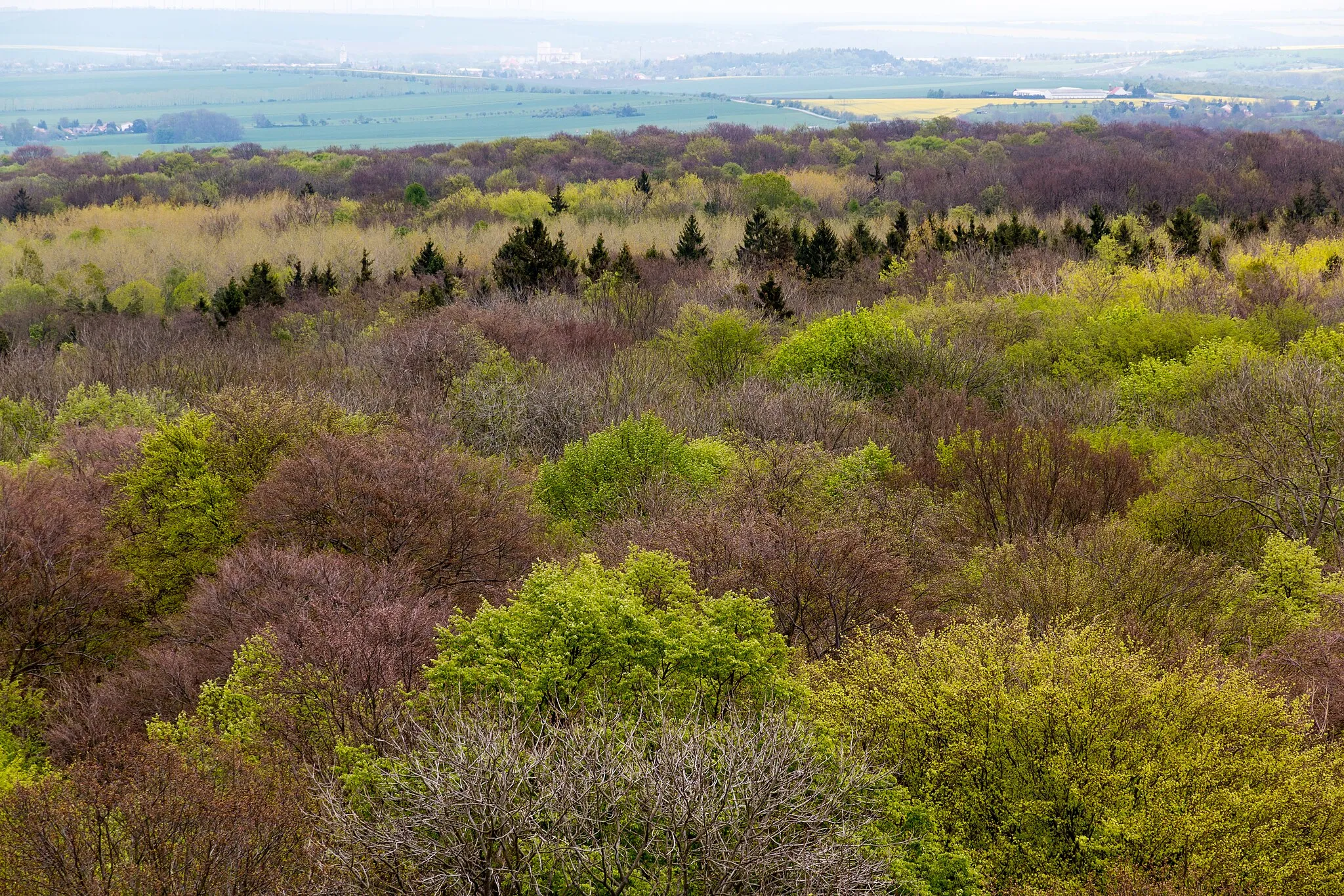 Photo showing: This is a picture of the protected area listed at WDPA under the ID