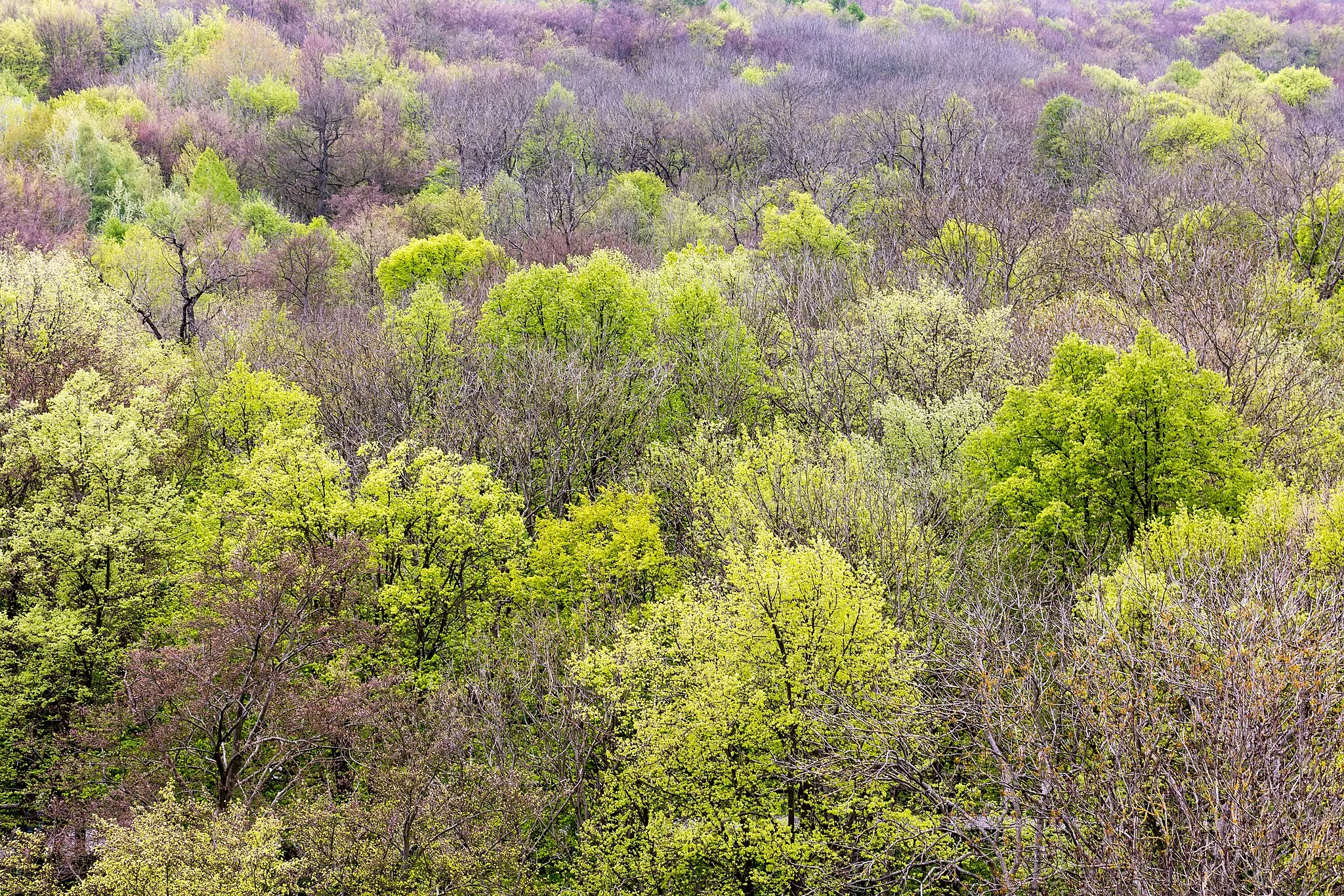 Photo showing: This is a picture of the protected area listed at WDPA under the ID