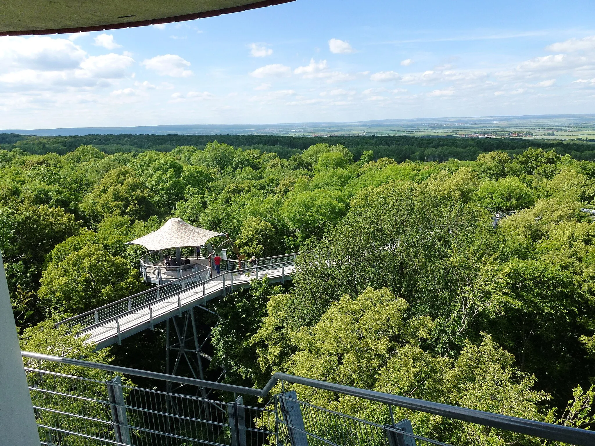 Photo showing: TreeTopWalk in Hainich, Germany