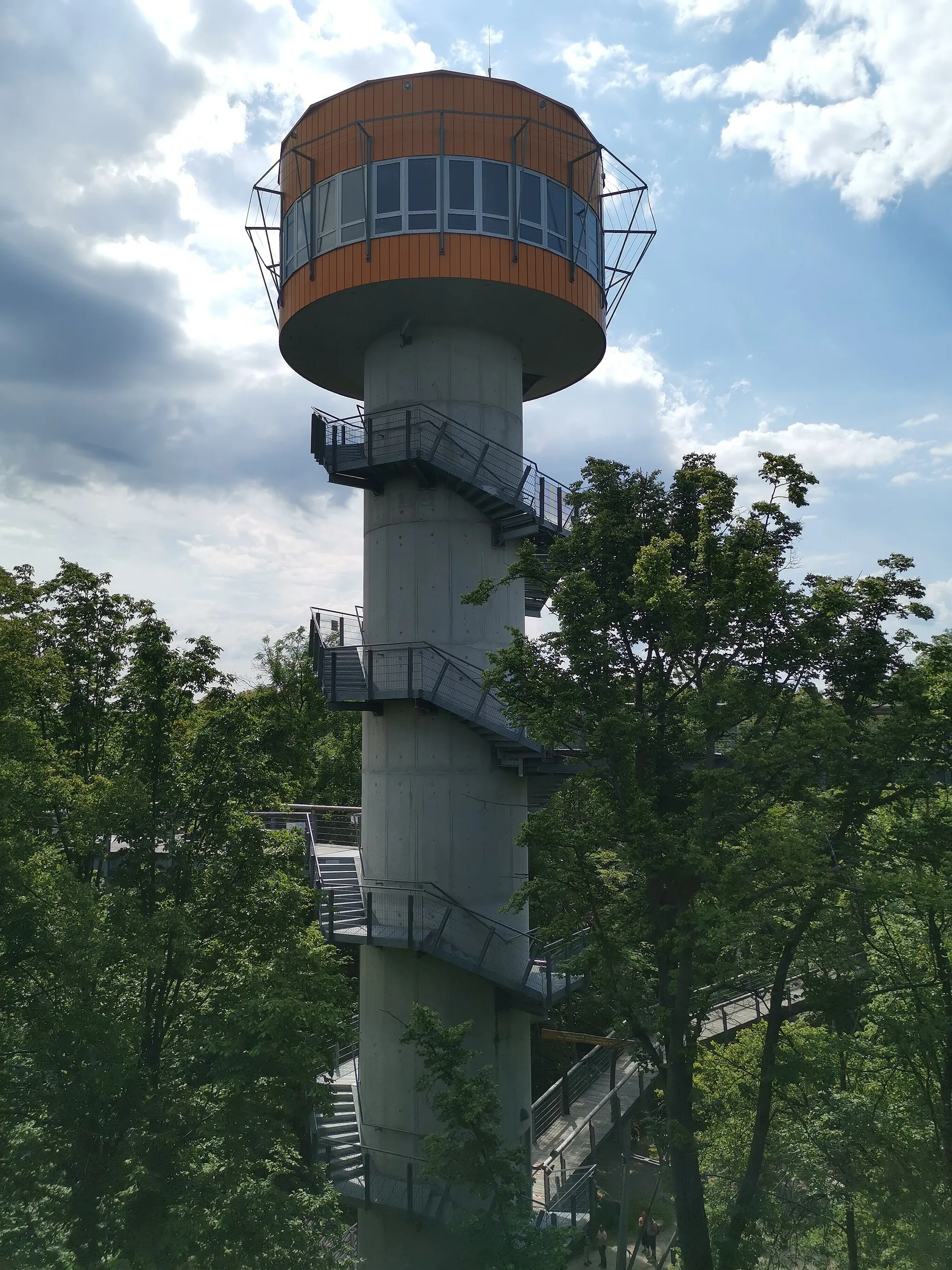 Photo showing: Baumkronenpfad im Nationalpark Hainich