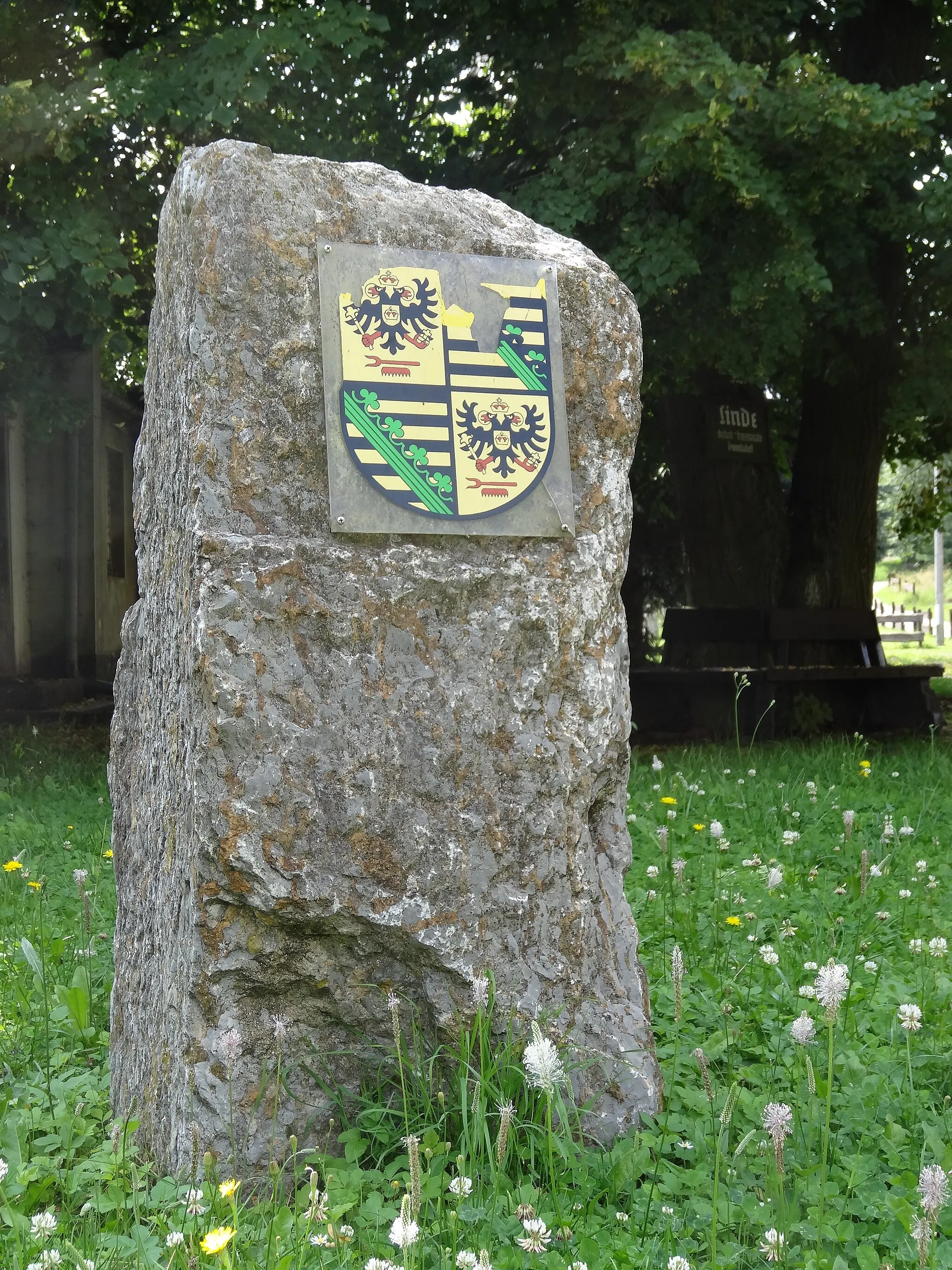 Photo showing: Stone in the Kinderdorf Dittrichshütte, Thuringia, Germany