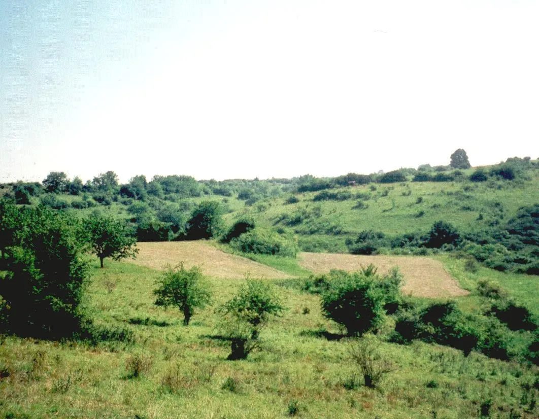 Photo showing: Strukturreiche Kalkmagerrasen im Flachstal bei Kaisershagen.