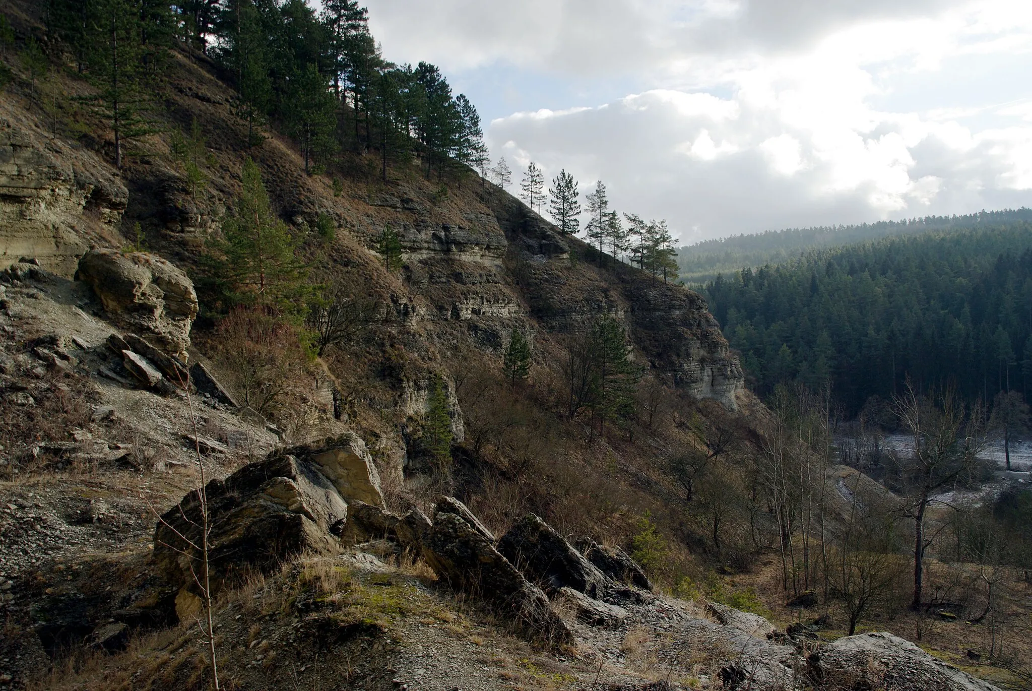 Photo showing: Landschaft im Jonastal