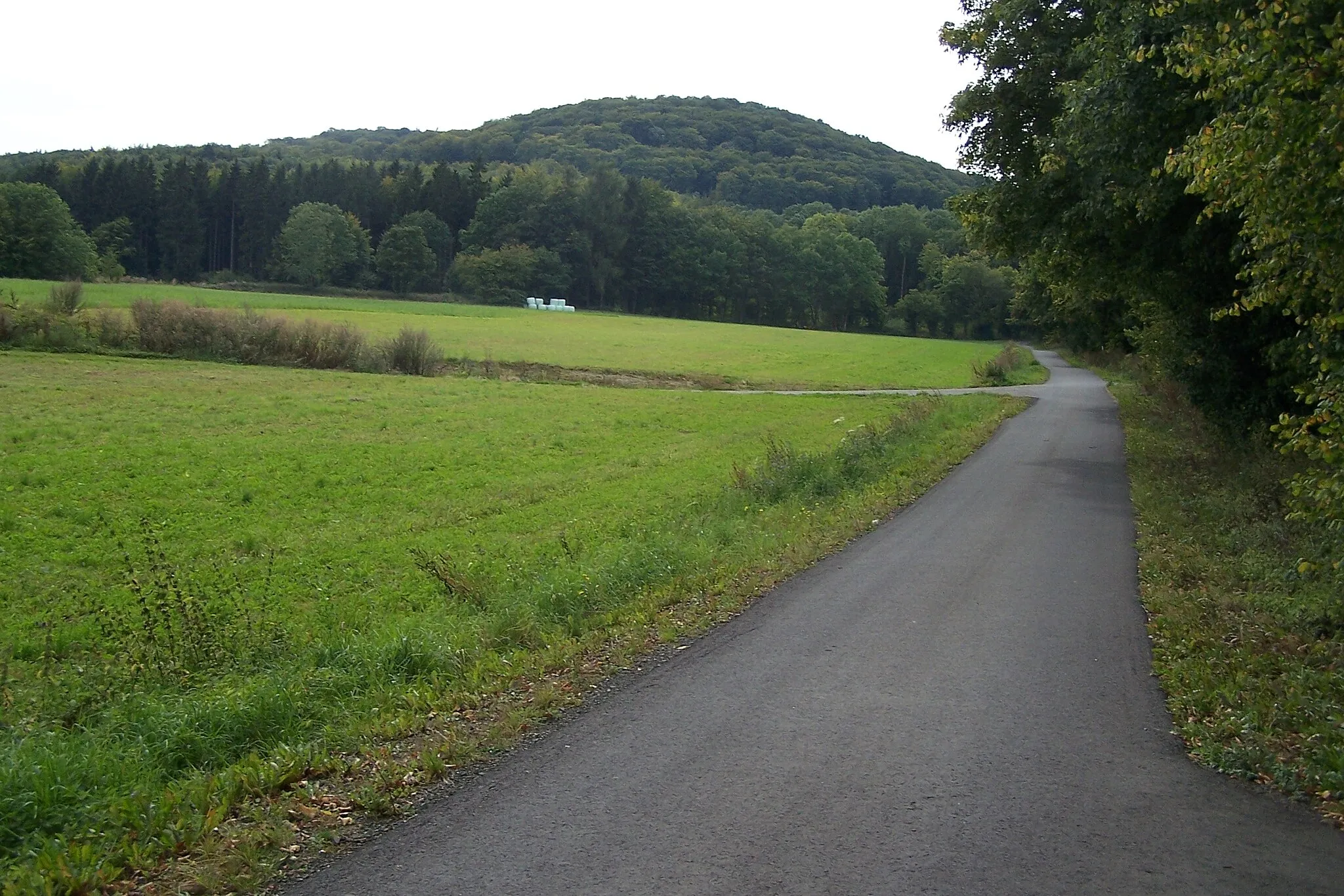 Photo showing: Blick von der Emberghütte bei Dermbach nach Süden zur Sachsenburg.