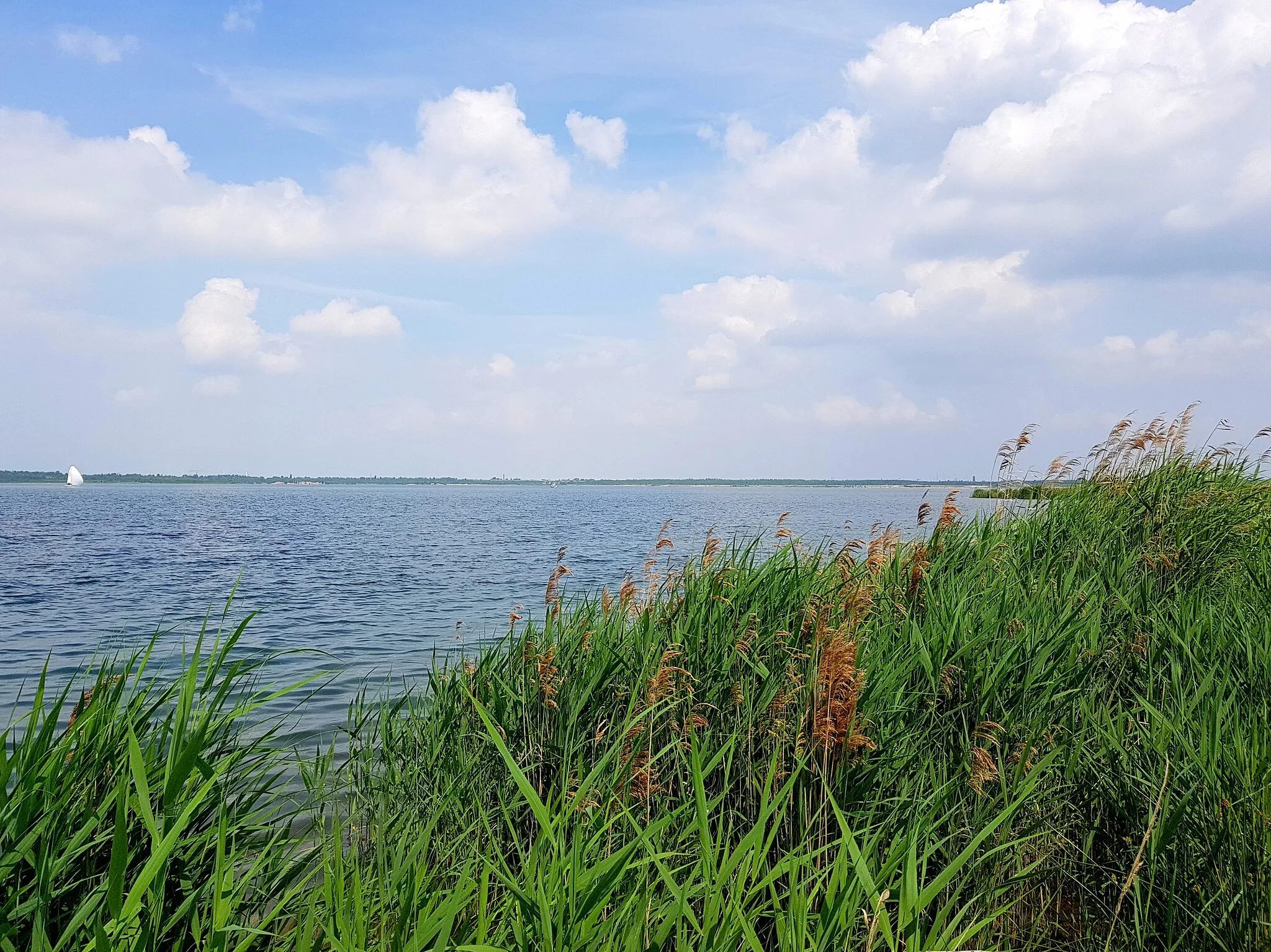 Photo showing: Zwenkauer See, Zitzschener Ufer