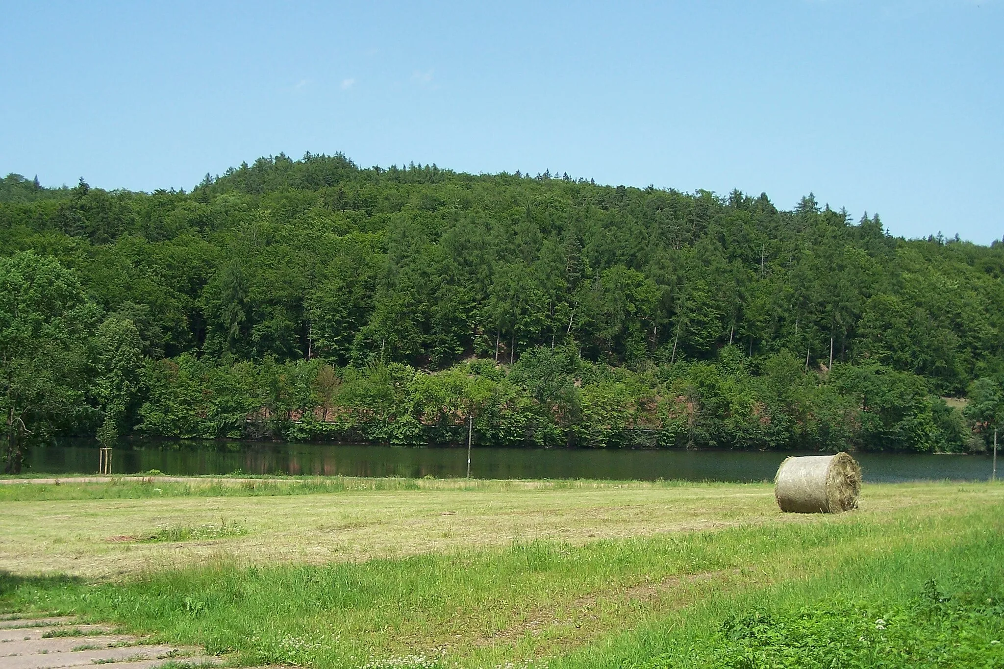 Photo showing: Blick von Süden auf den Karthäuserberg und den Wilhelmsthaler See (Westrand) bei Eisenach.