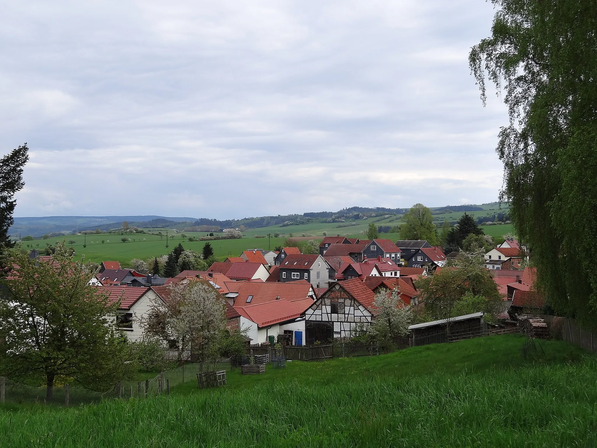 Photo showing: View on Pennewitz, Thuringia, Germany