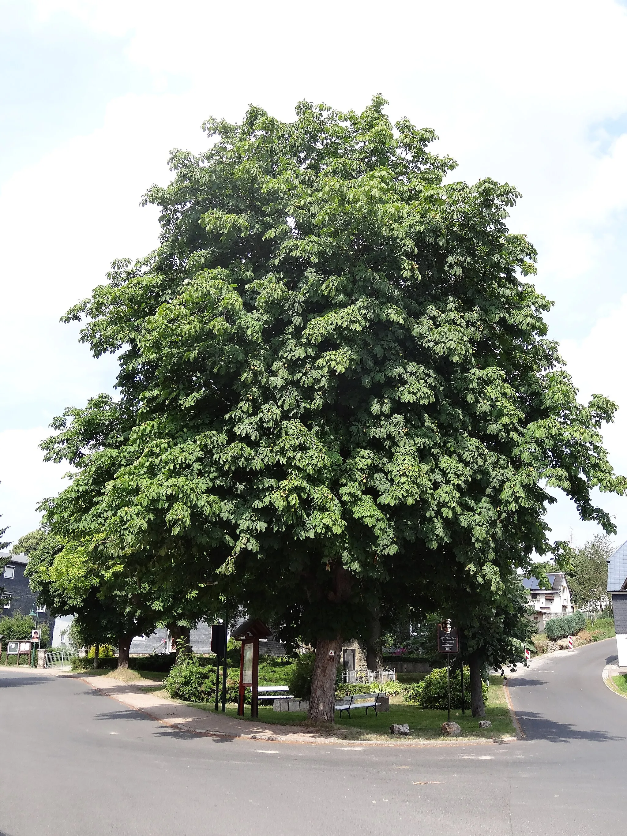 Photo showing: Central place of Oberhain, Thuringia, Germany