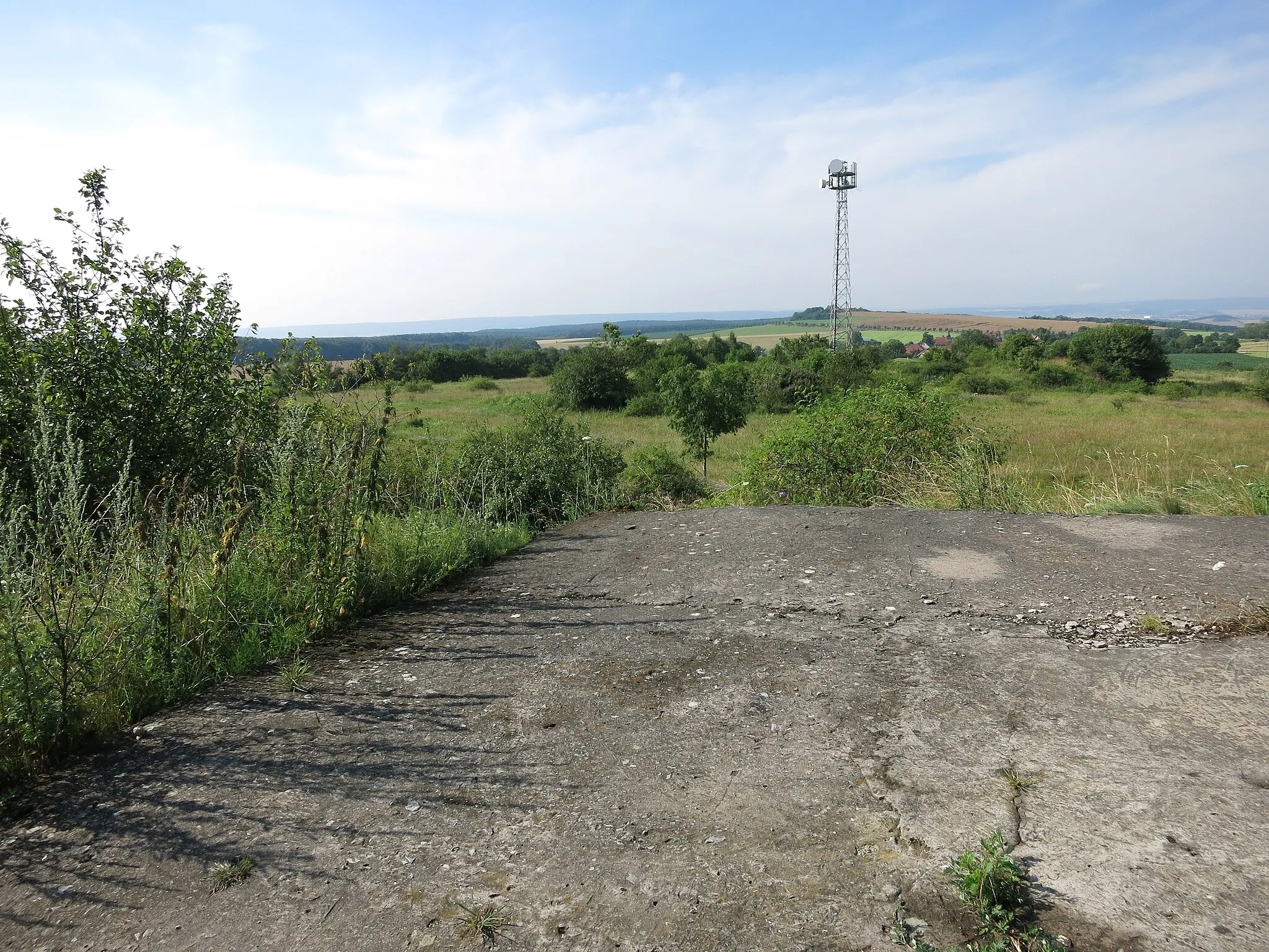 Photo showing: Birkenberg, Ohmgebirge. Blick von ehem. sowjetischer Bunkeranlage nach Süden: Sendemast, dahinter liegt Kaltohmfeld und der Kälberberg, ganz im Hintergrund der Dün