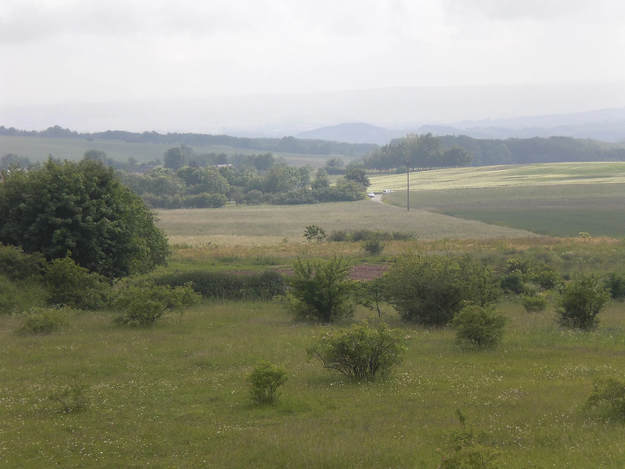 Photo showing: Kaltohmfeld beim Birkenberg, Blick nach Südwesten in Richtung Worbis