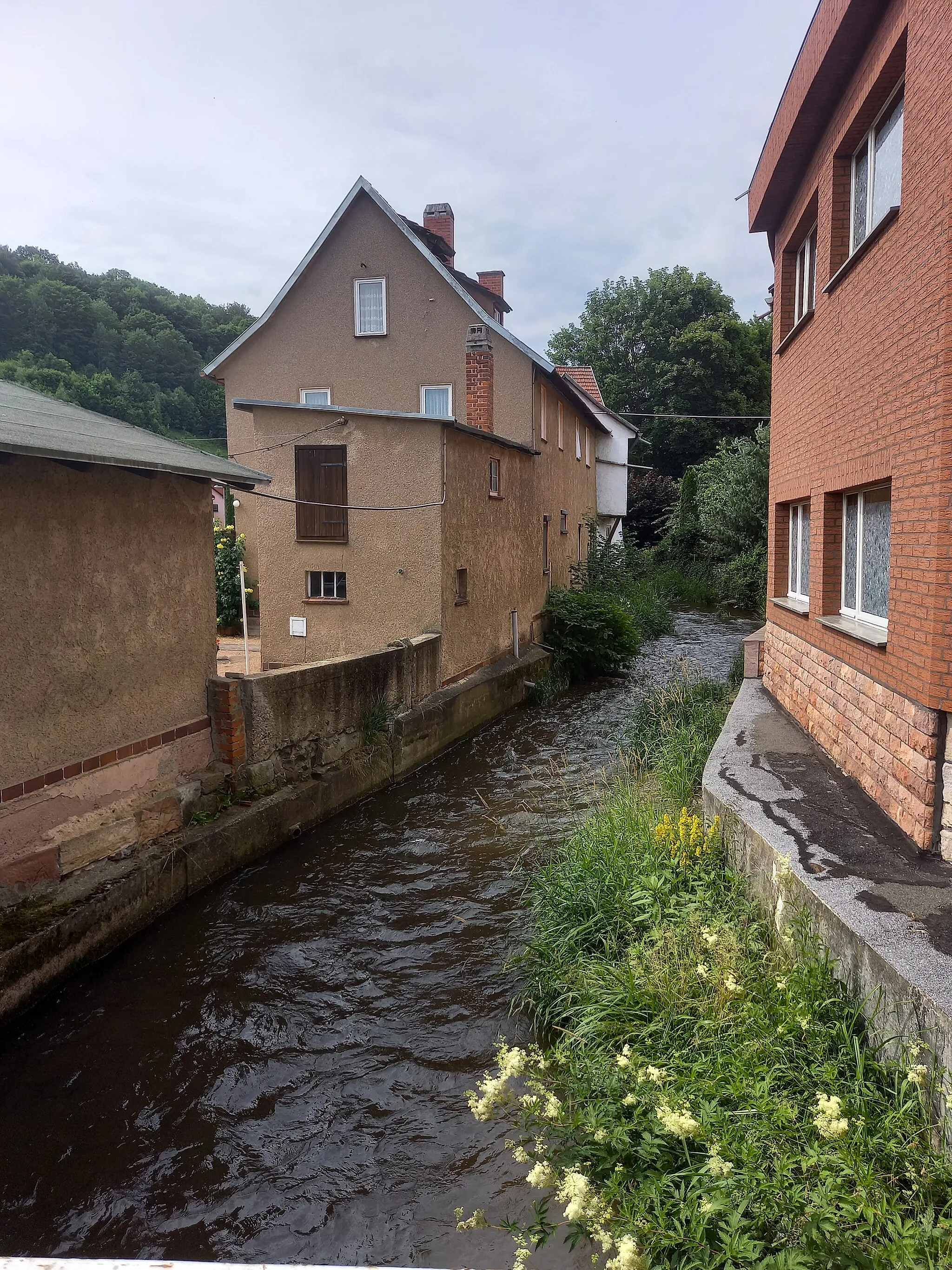 Photo showing: Blick (Richtung Norden - Flußaufwärts) auf die Schmalkalde von der Brücke in der Haderholzstraße