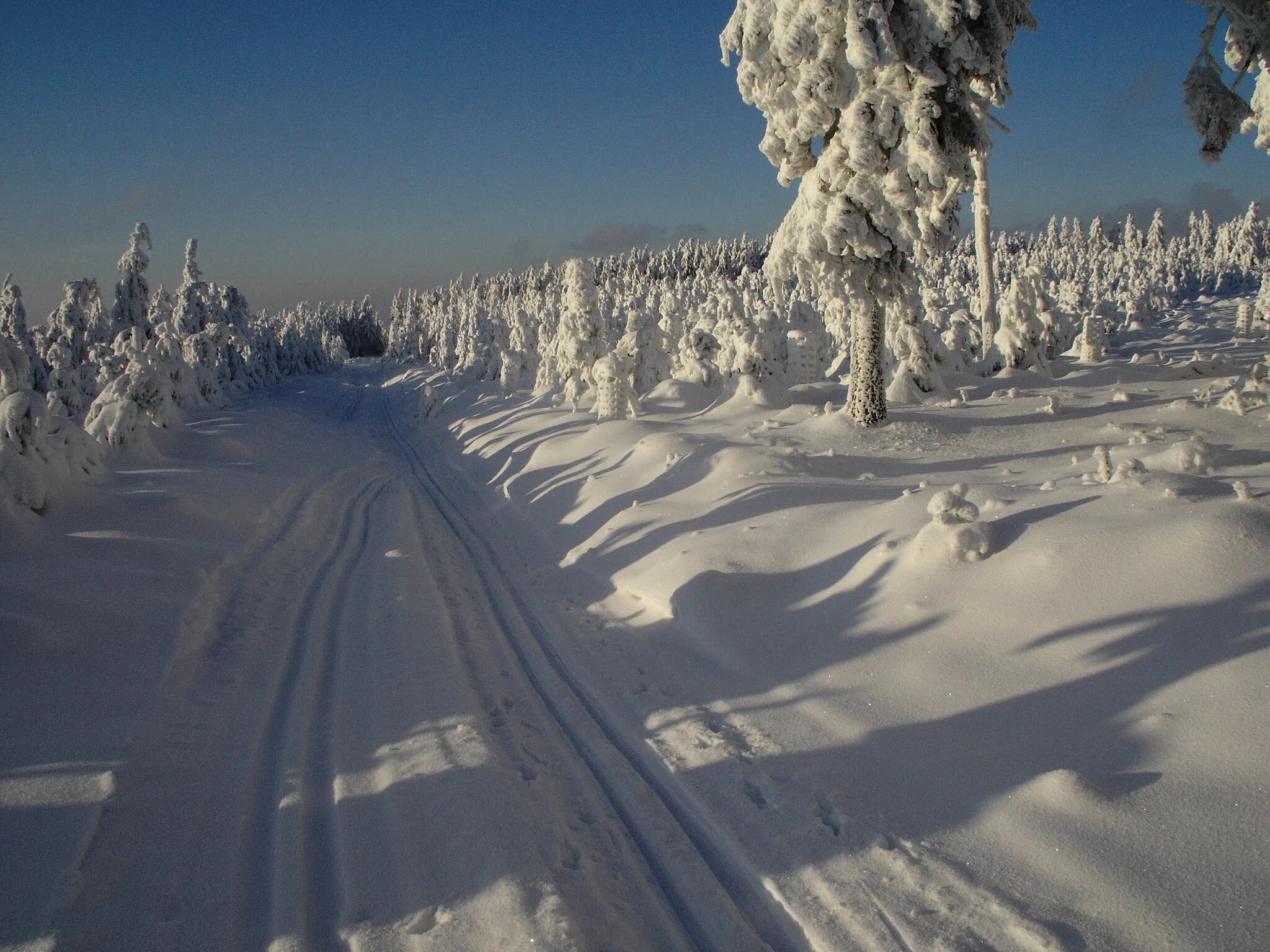 Photo showing: Salzkopf im Winter, Floh-Seligenthal, Thüringen, Deutschland