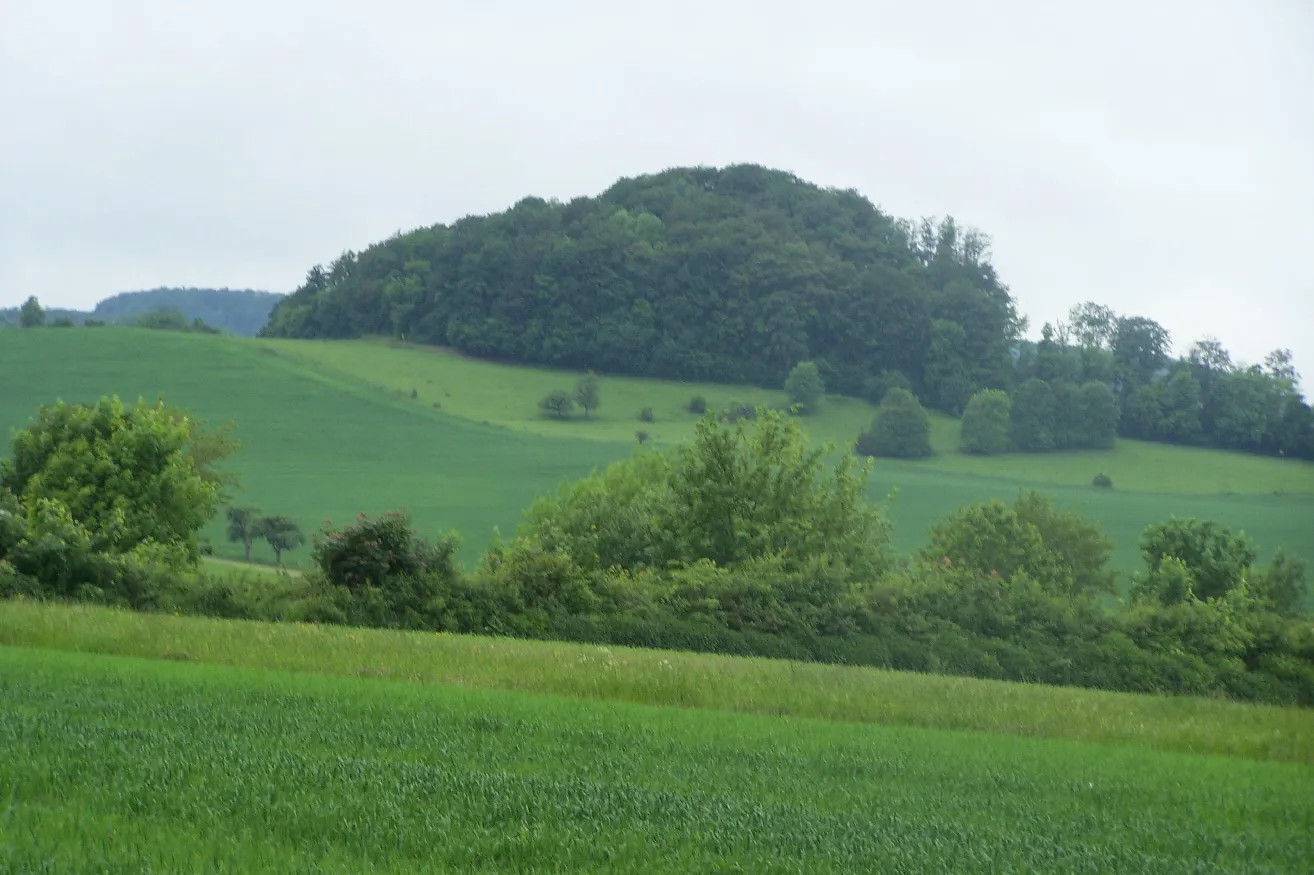 Photo showing: The Höhn, a hill and stone quarry near Klings. It's the place of Fischberg castle.