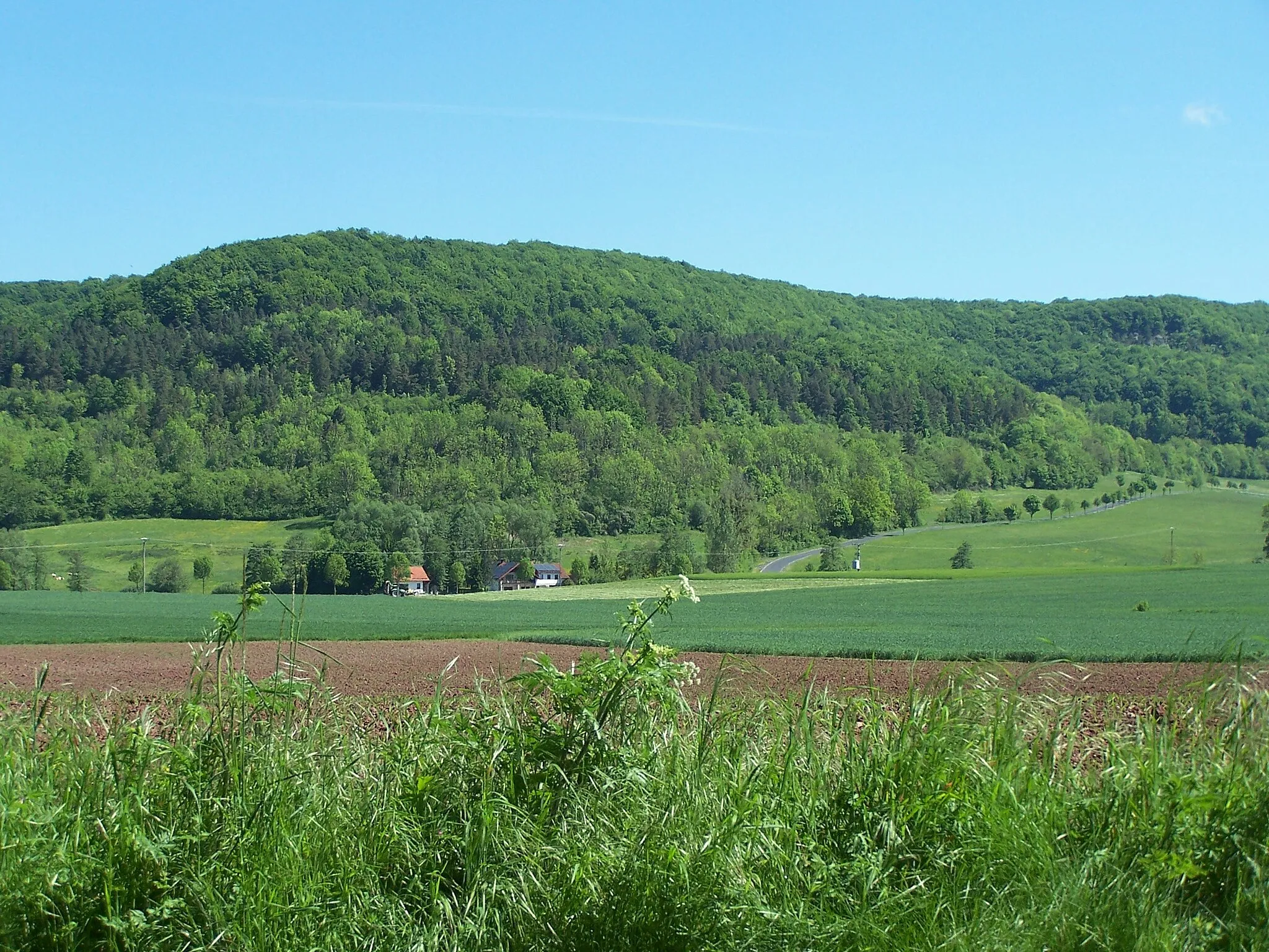 Photo showing: Blick von Süden (Borbels) auf den Sattelsberg über Mieswarts.