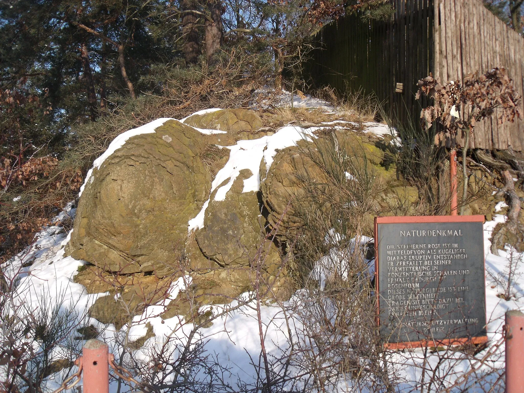 Photo showing: The Steinerne Rose, a natural monument near Saalburg, Saale-Orla-Kreis, Thuringia, Germany, in February 2012