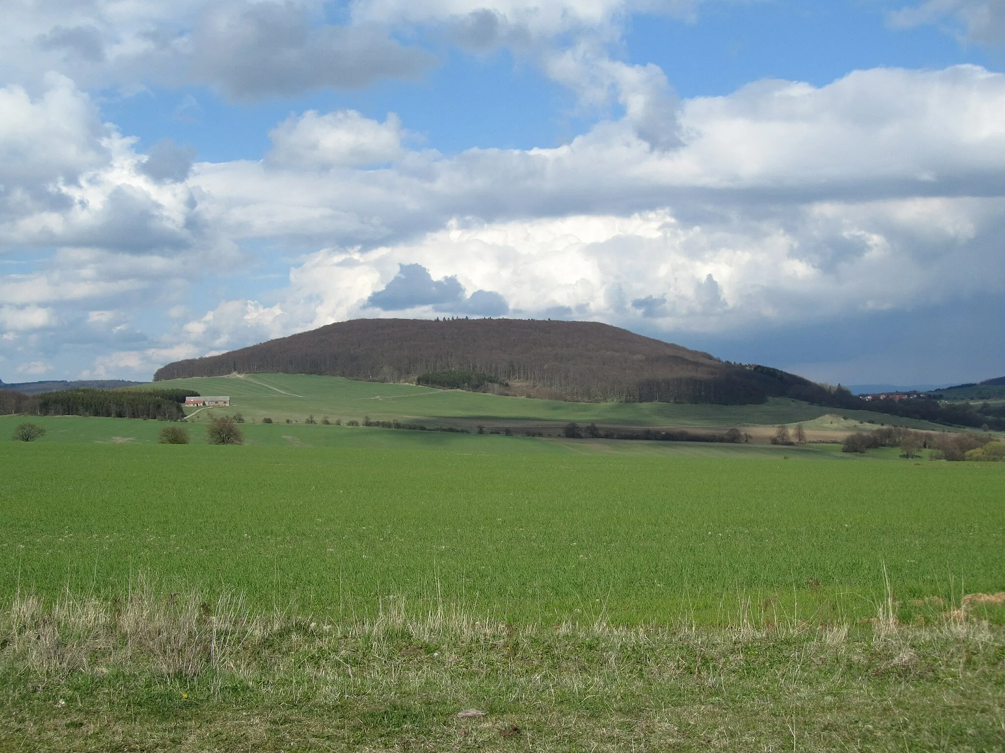 Photo showing: Der Leichelberg (655,8 m) in der Thüringischen Rhön von Südwesten