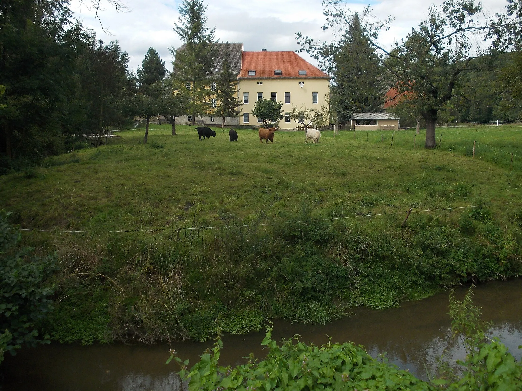 Photo showing: Herrenmühle on the Wethau river near Wetterscheidt (Mertendorf, district: Burgenlandkreis, Saxony-Anhalt)
