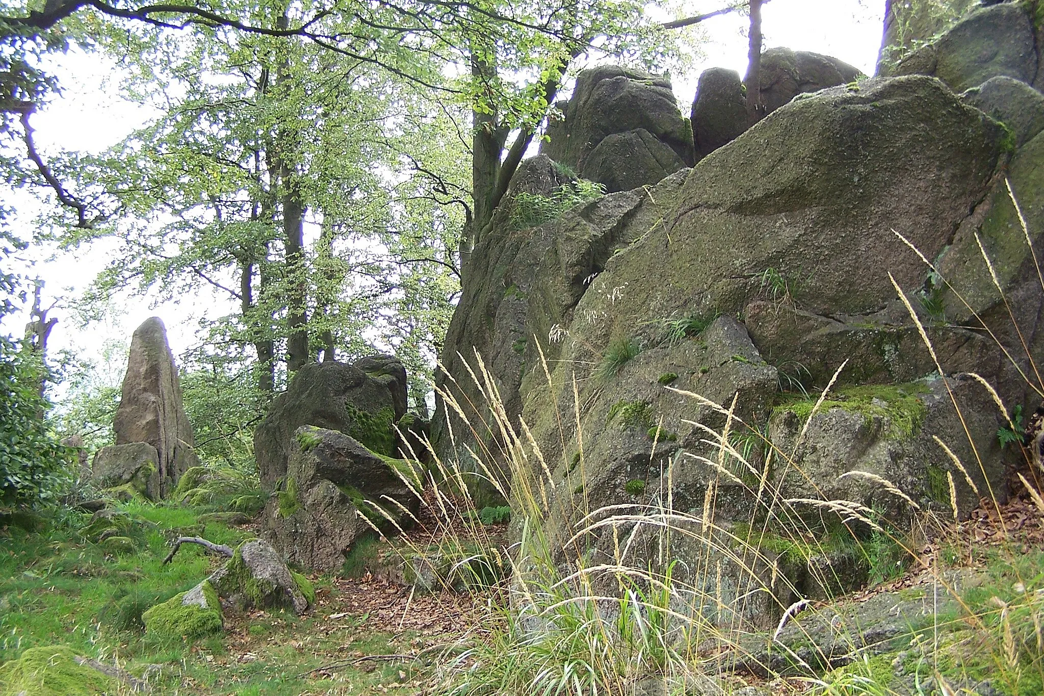 Photo showing: Felsen auf dem Gerberstein.