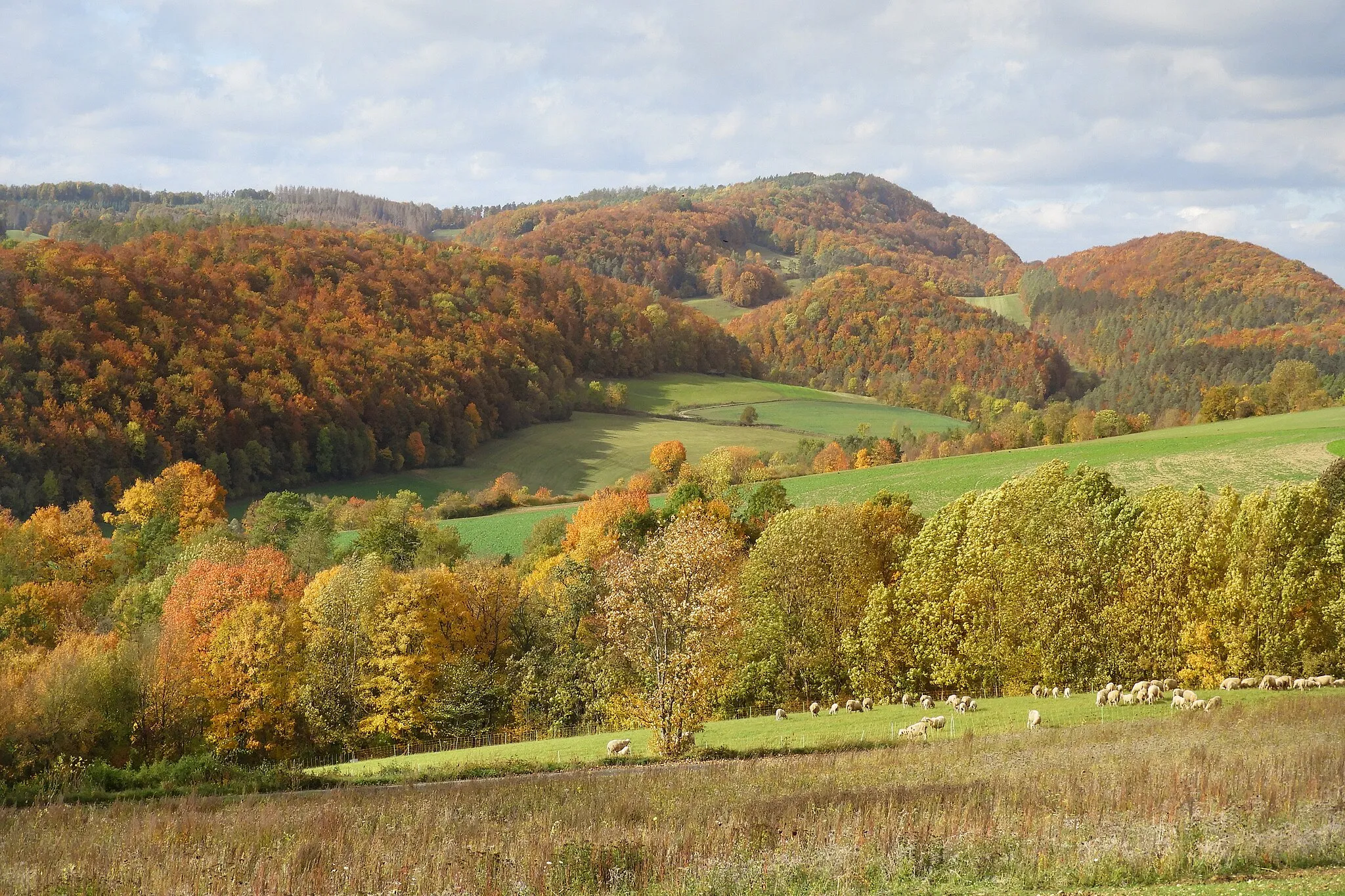 Photo showing: This is a picture of the protected area listed at WDPA under the ID