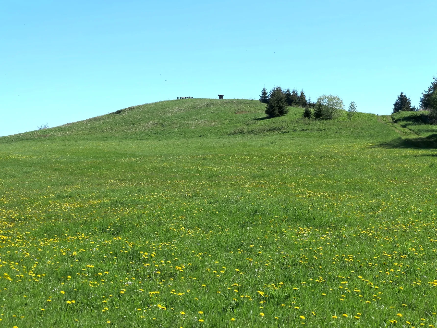 Photo showing: Rhön, Mountain "Ellenbogenrg"