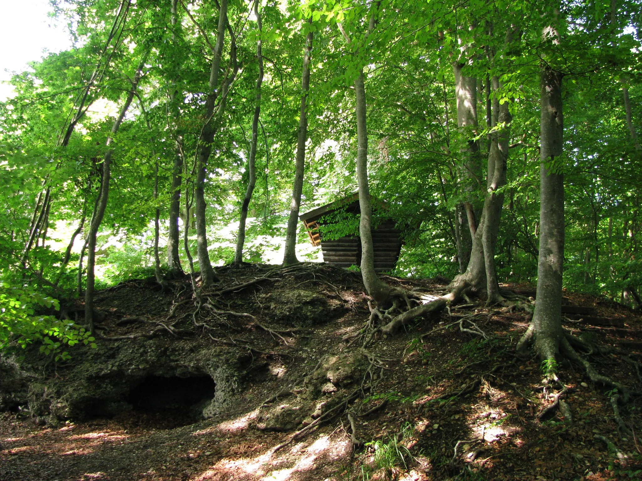 Photo showing: Schatzberg bei Dießen am Ammersee; Nagelfluhgestein mit Aushöhlungen im Gipfelbereich