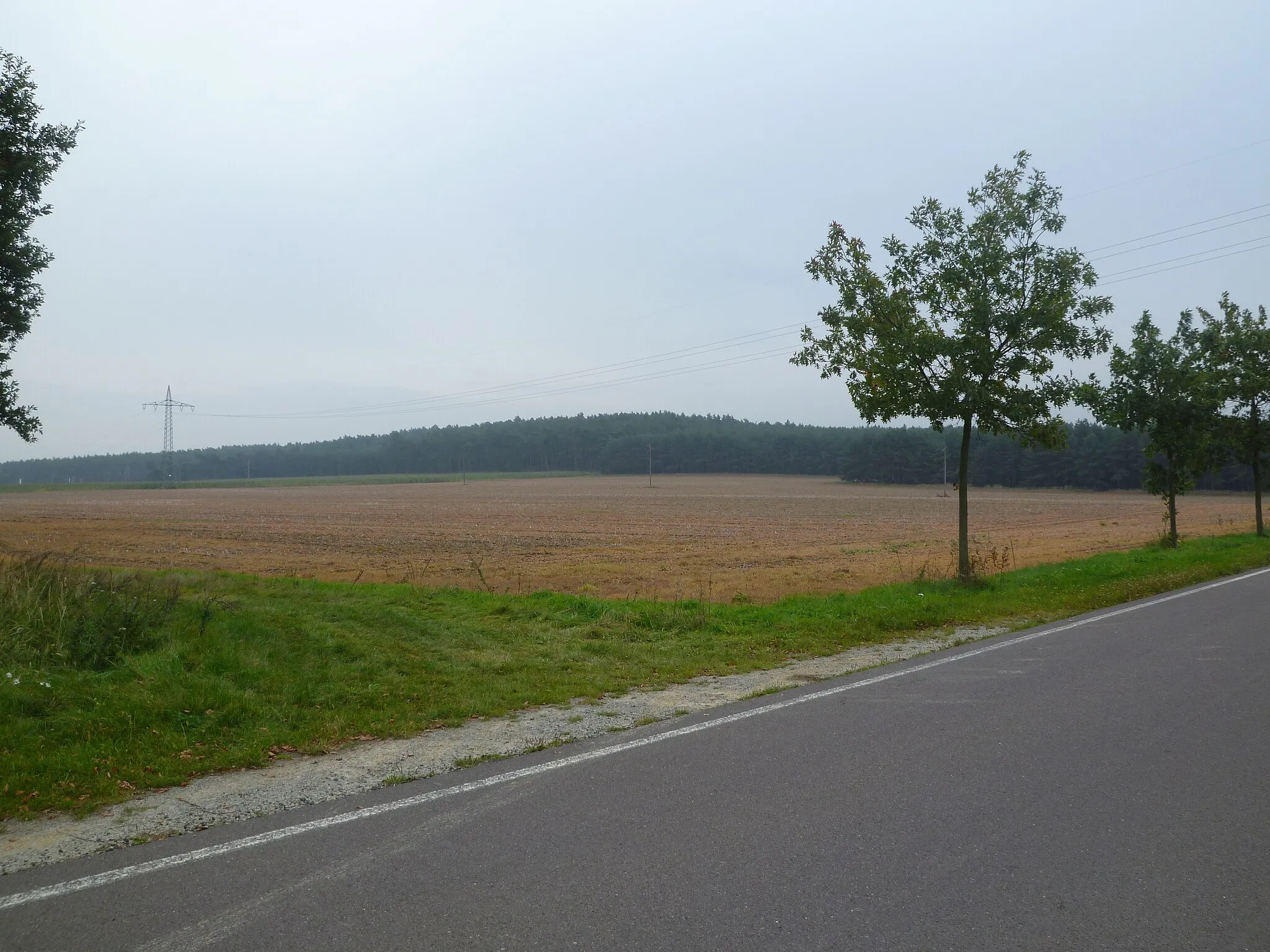 Photo showing: Bild zeigt Langen Berg an der Straße zwischen Velsdorf und Calvörde-Wegenstedt