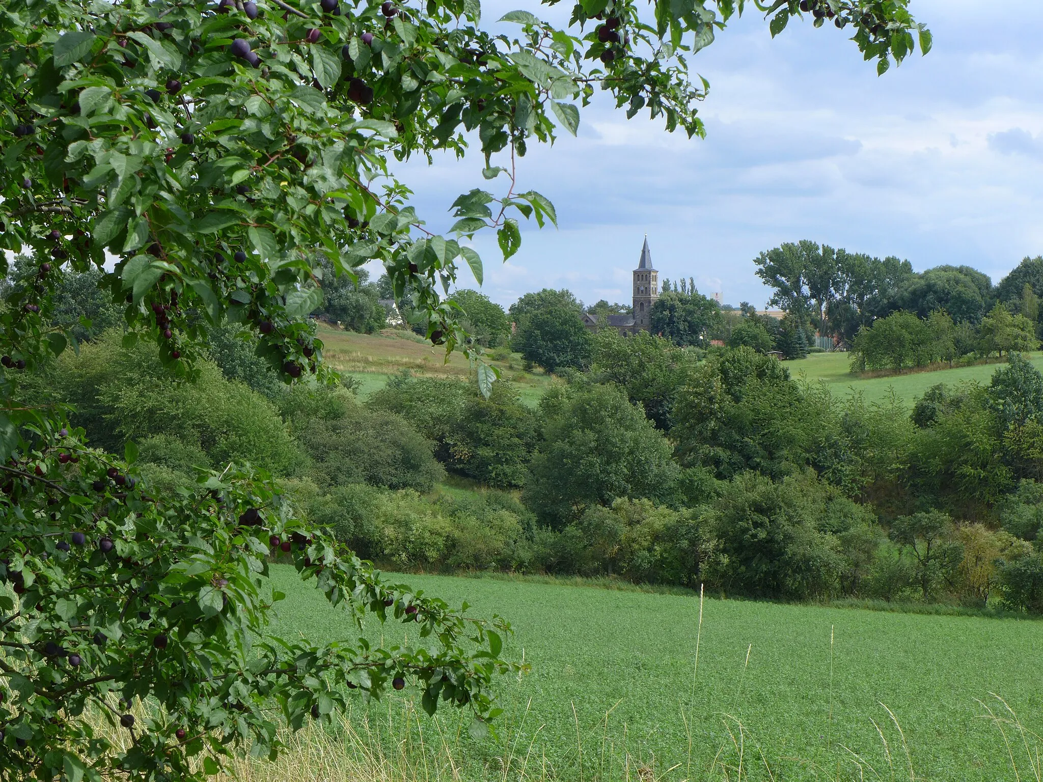 Photo showing: Pejzaĝo kaj preĝejo de Haardorf. Distrikto Burgenlandkreis, lando Saksio-Anhaltio, Germanio.