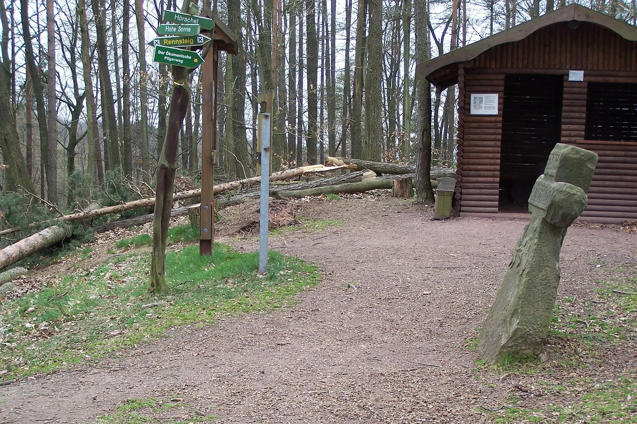 Photo showing: Auch in unmittelbarer Nähe zum Steinkreuz verursachte der Orkan Kyrill große Forststäden durch Windbruch.