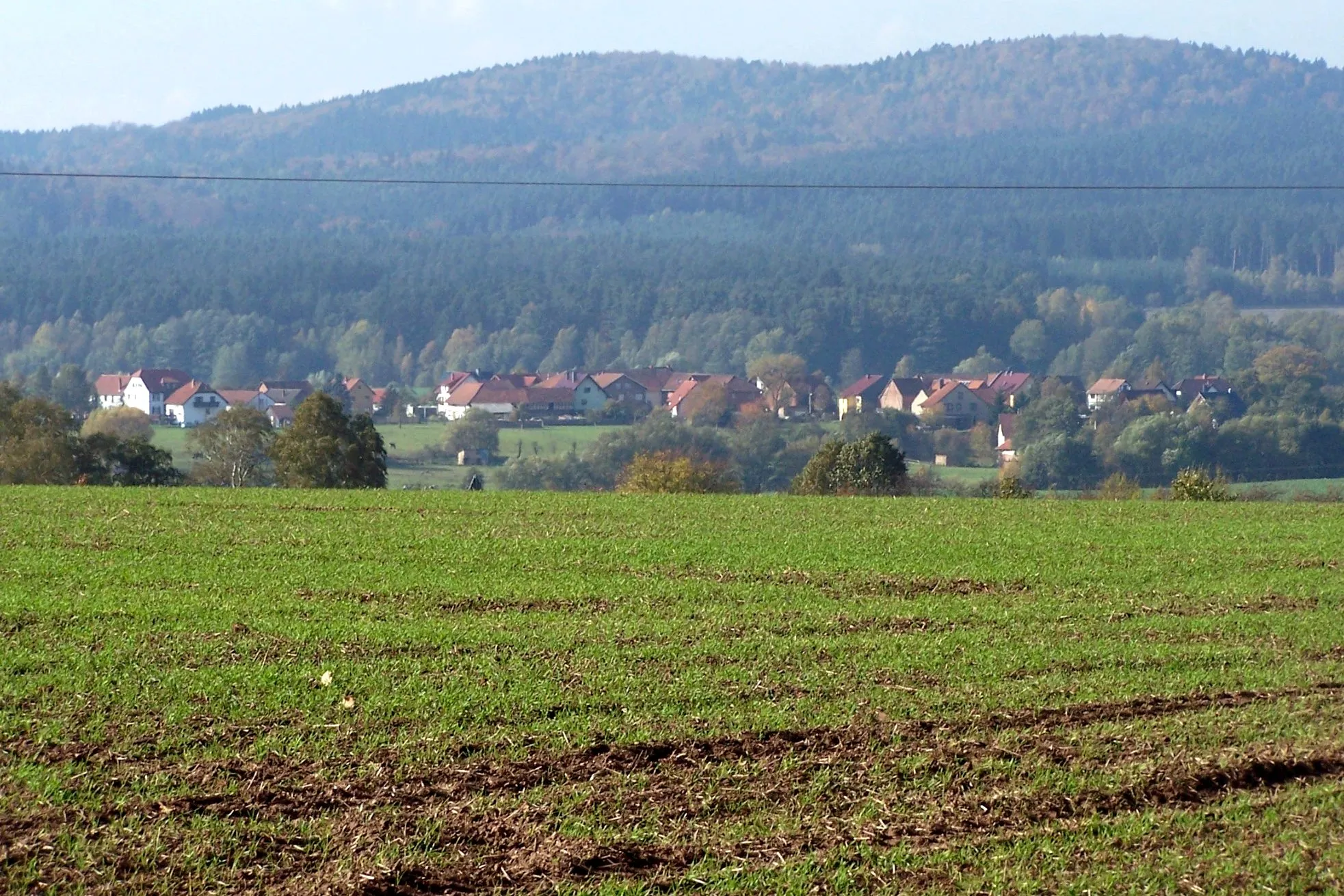 Photo showing: Der Lindigshof, im Hintergrund der Frauenseer Forst mit der Erhebung "Die Hardt".