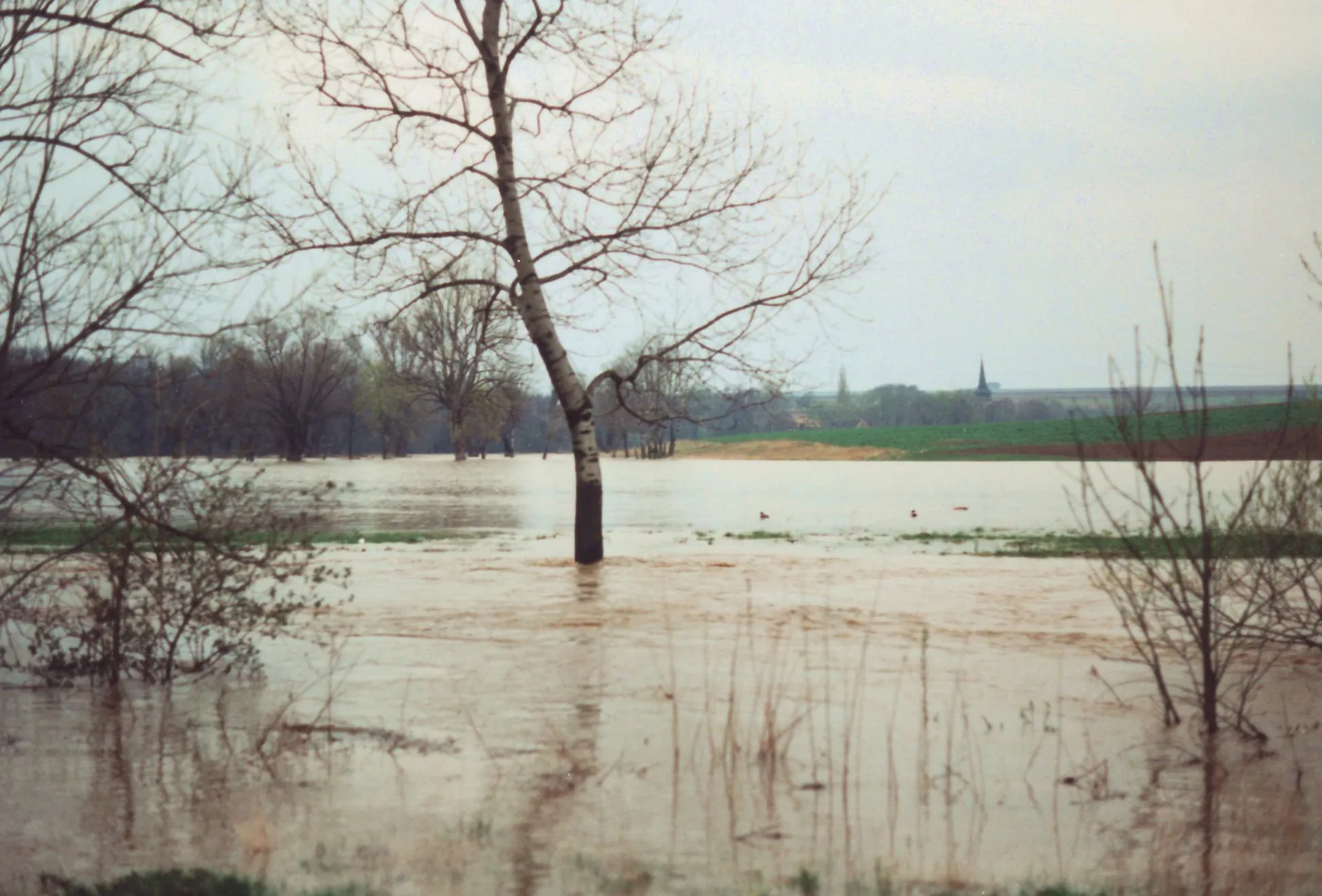 Photo showing: Ilmhochwasser 1994. Im Vordergrund die Ilm, im Hintergrund die überschwemmte Ilmaue und die Kirchtürme von Zottelstedt und Mattstedt.