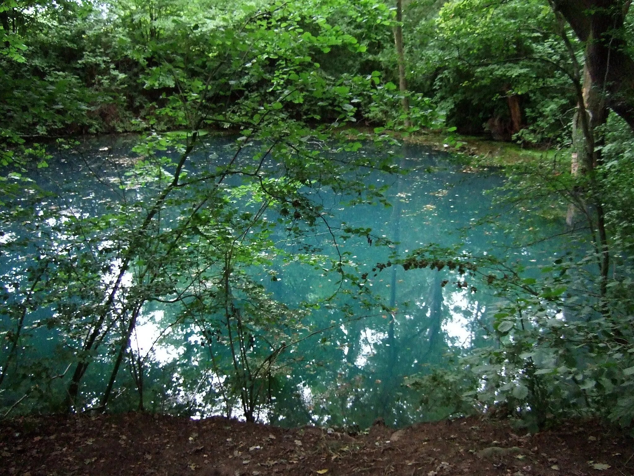 Photo showing: Der Kainspring bei Oberdorla