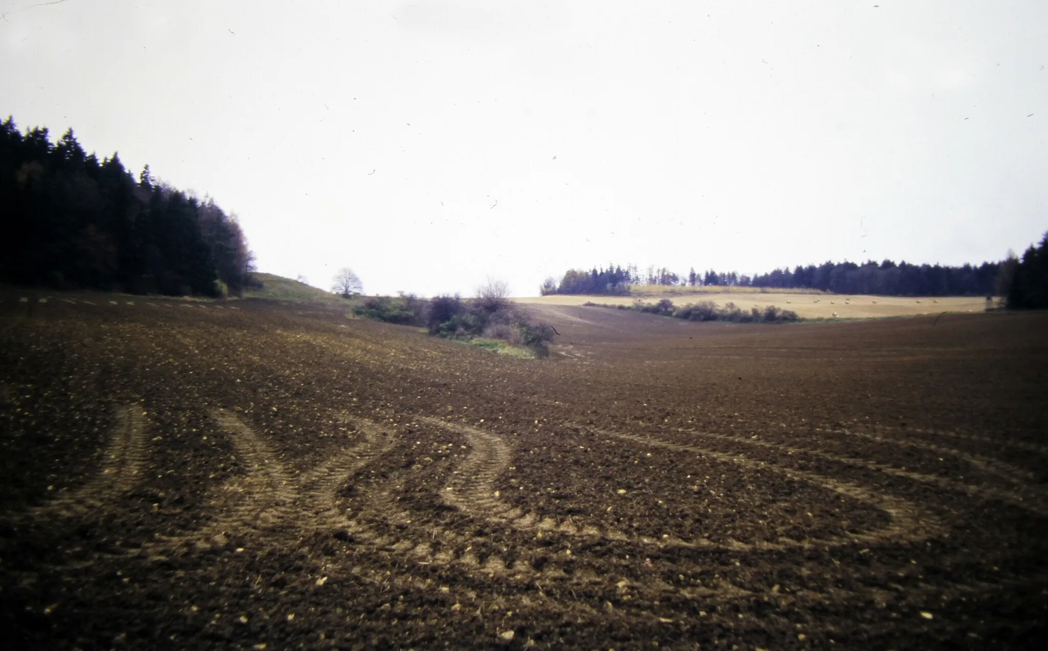 Photo showing: Beckerskirchhof, 1996