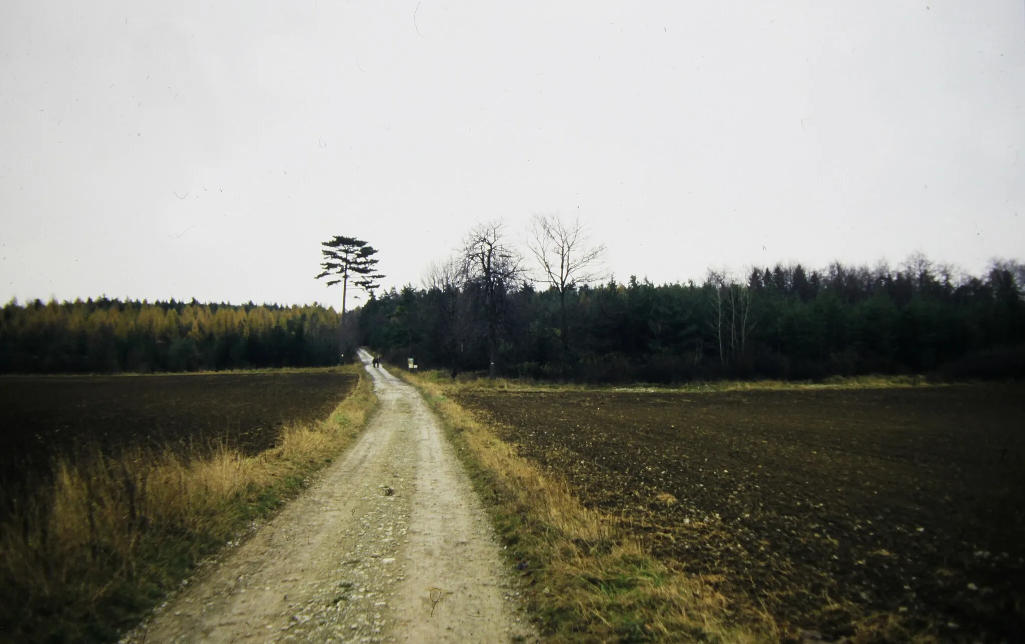 Photo showing: 1996 in Beckerskirchhof