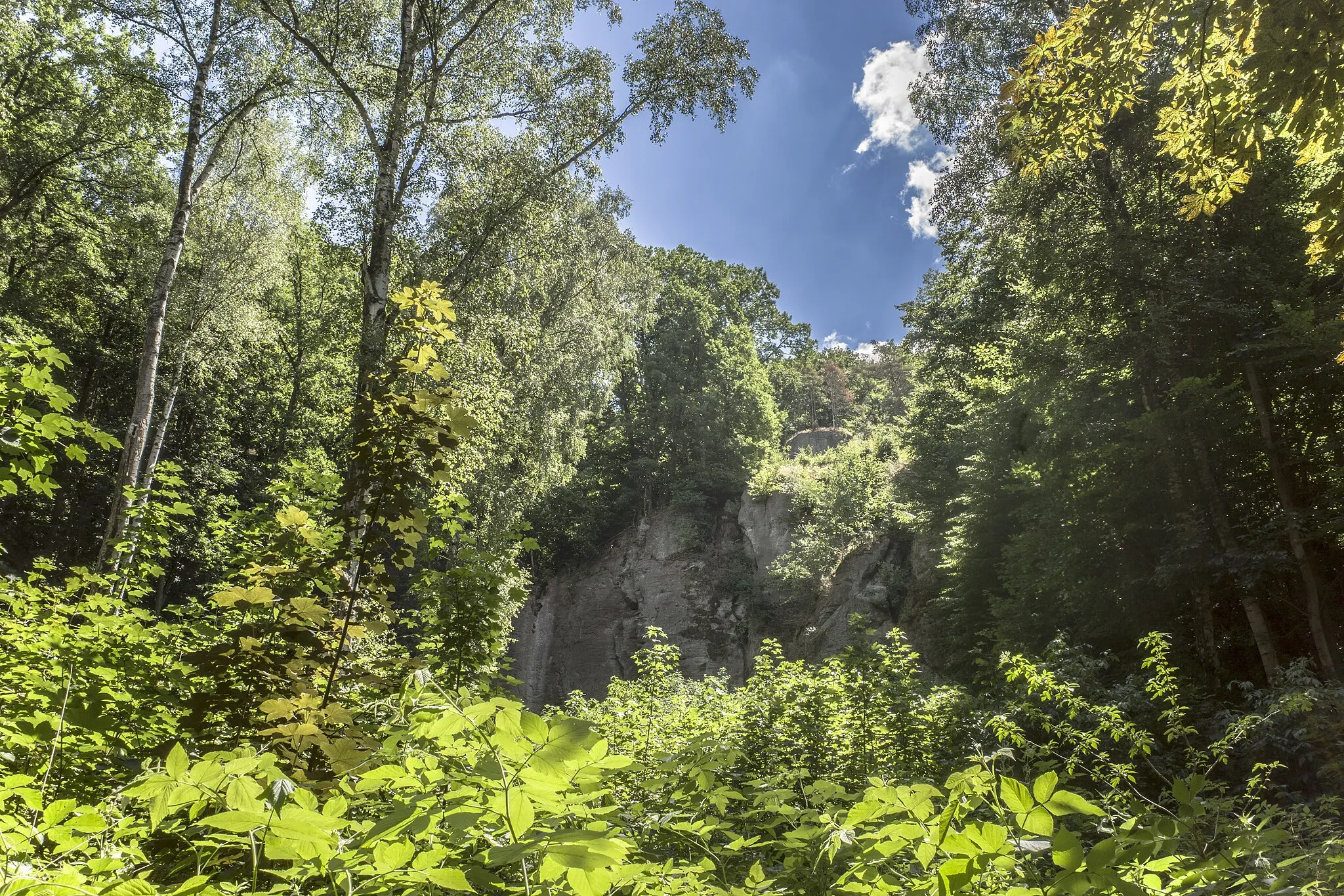 Photo showing: Felswand östlich der Schillerlinde, im Landschaftsschutzgebiet "Thüringer Wald"