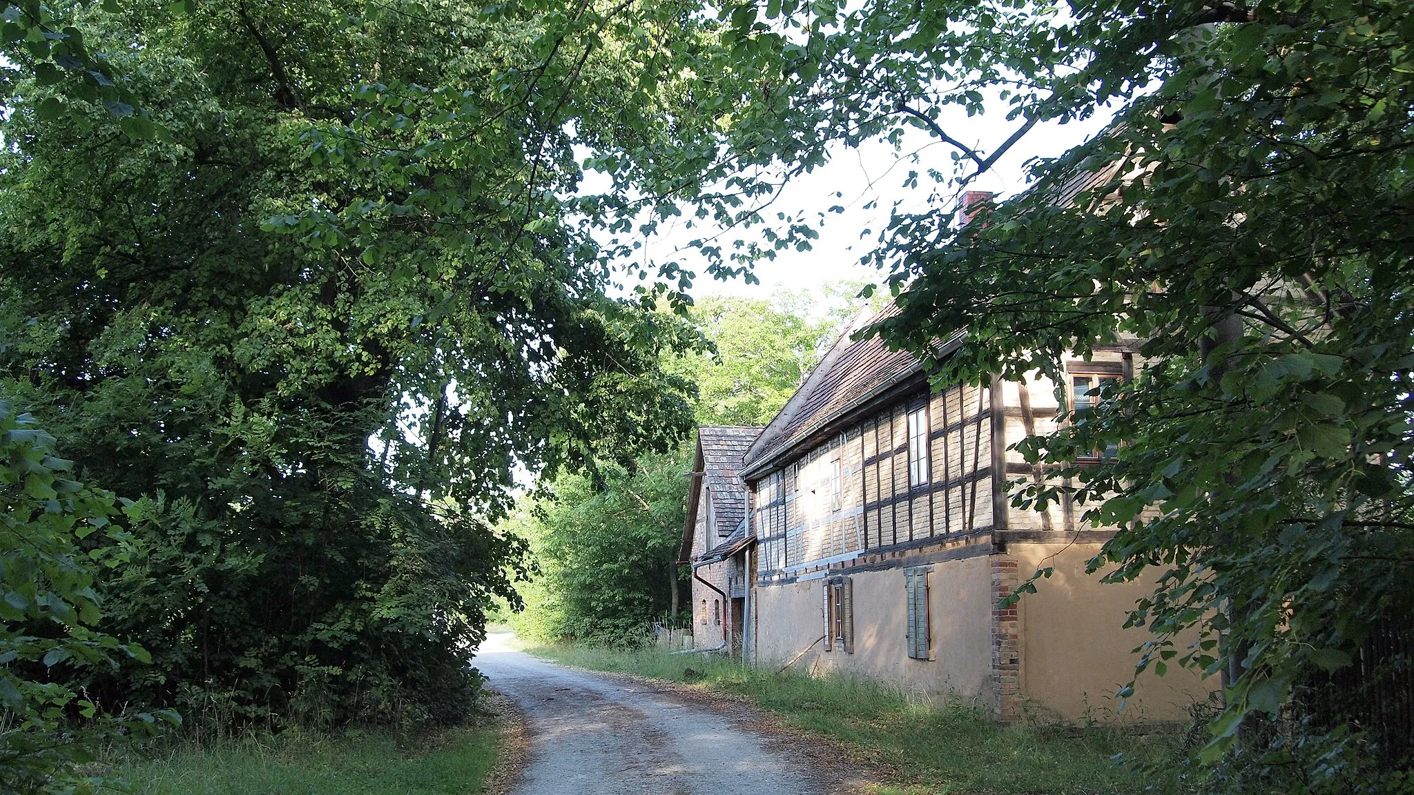 Photo showing: Hof und Sommerlinde am Standort des ehemaligen Gasthofes in der Siedlung Burgrabis, Ansicht vom Westen