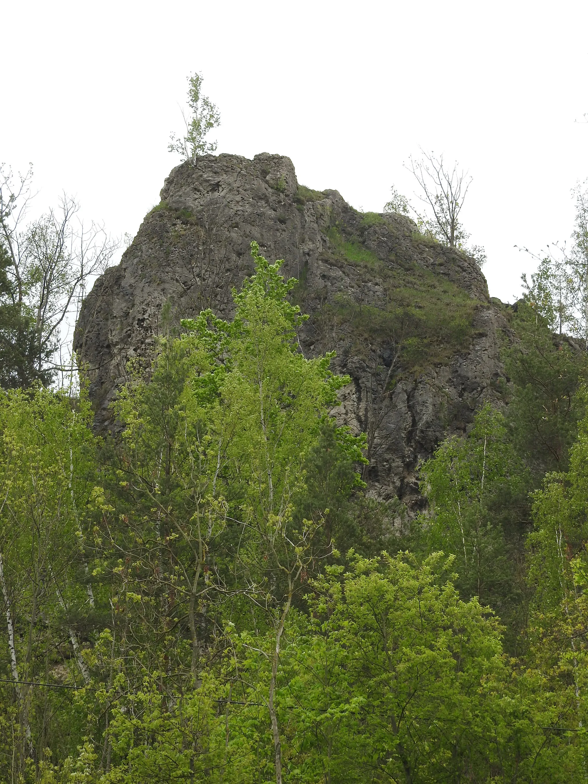 Photo showing: Felsen in Öpitz, Thüringen