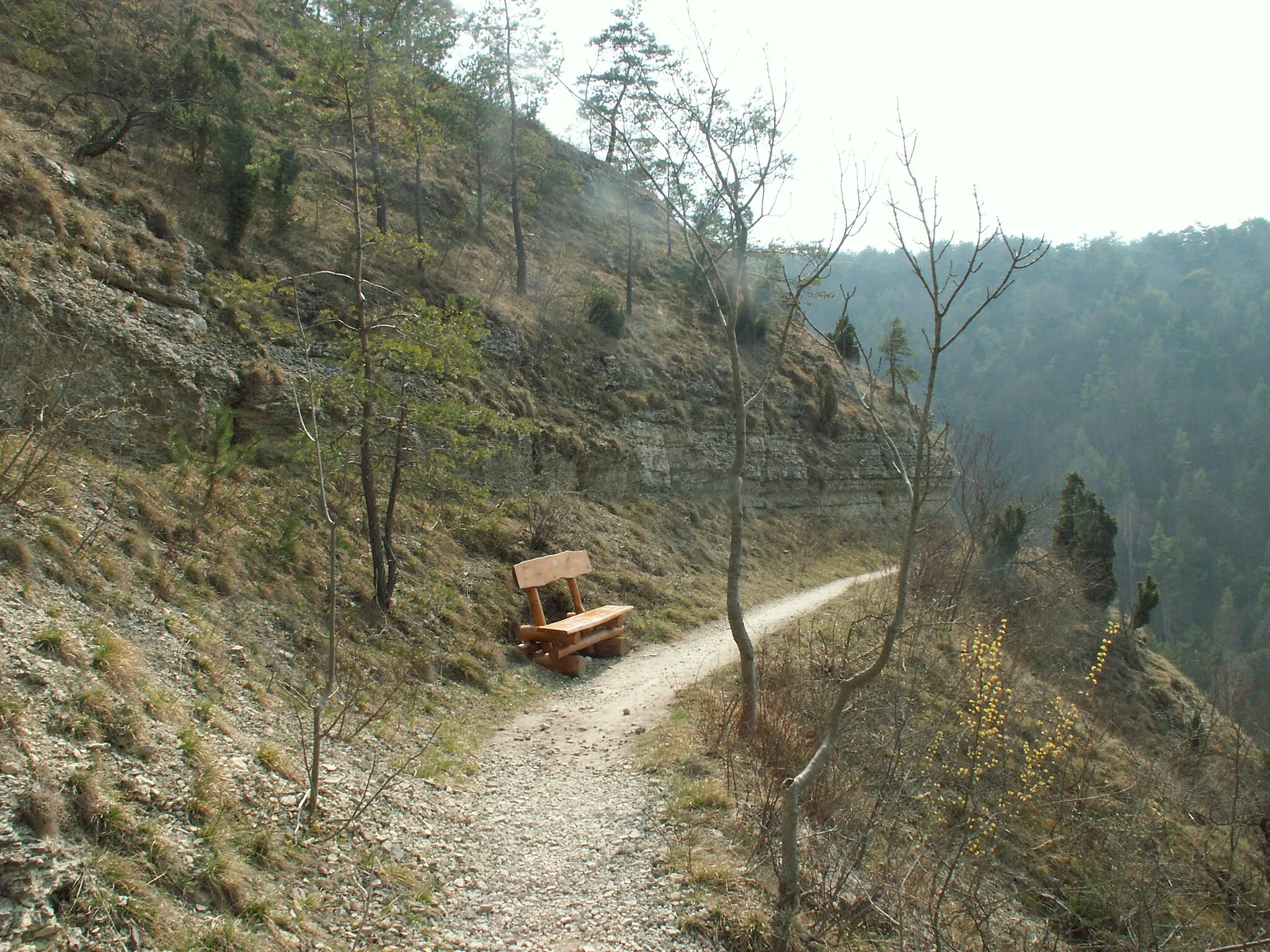 Photo showing: Jena, Wanderweg am Hummelsberg, Naturschutzgebiet „Kernberge und Wöllmisse bei Jena“