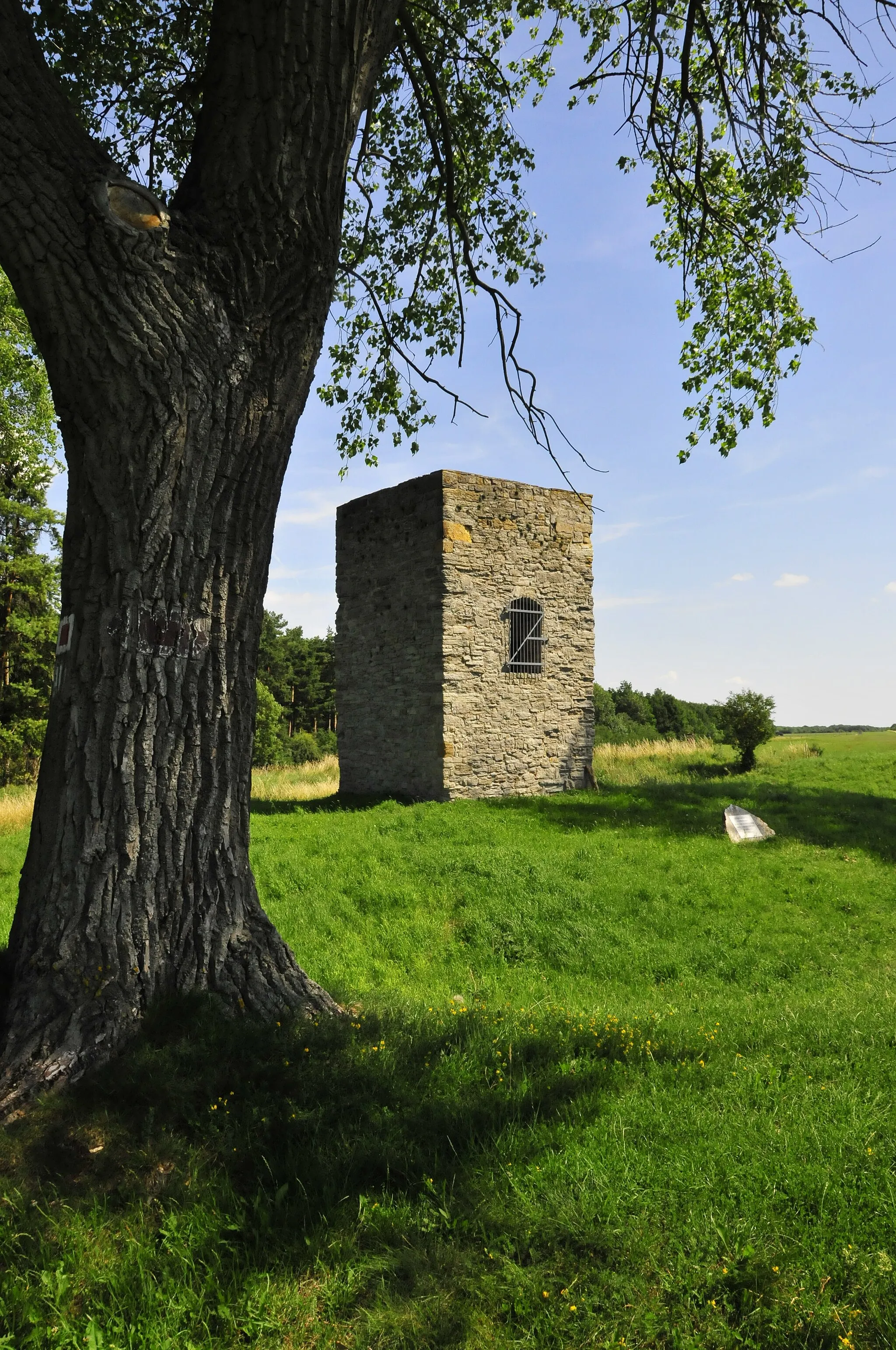 Photo showing: Mirador de Bienstädt