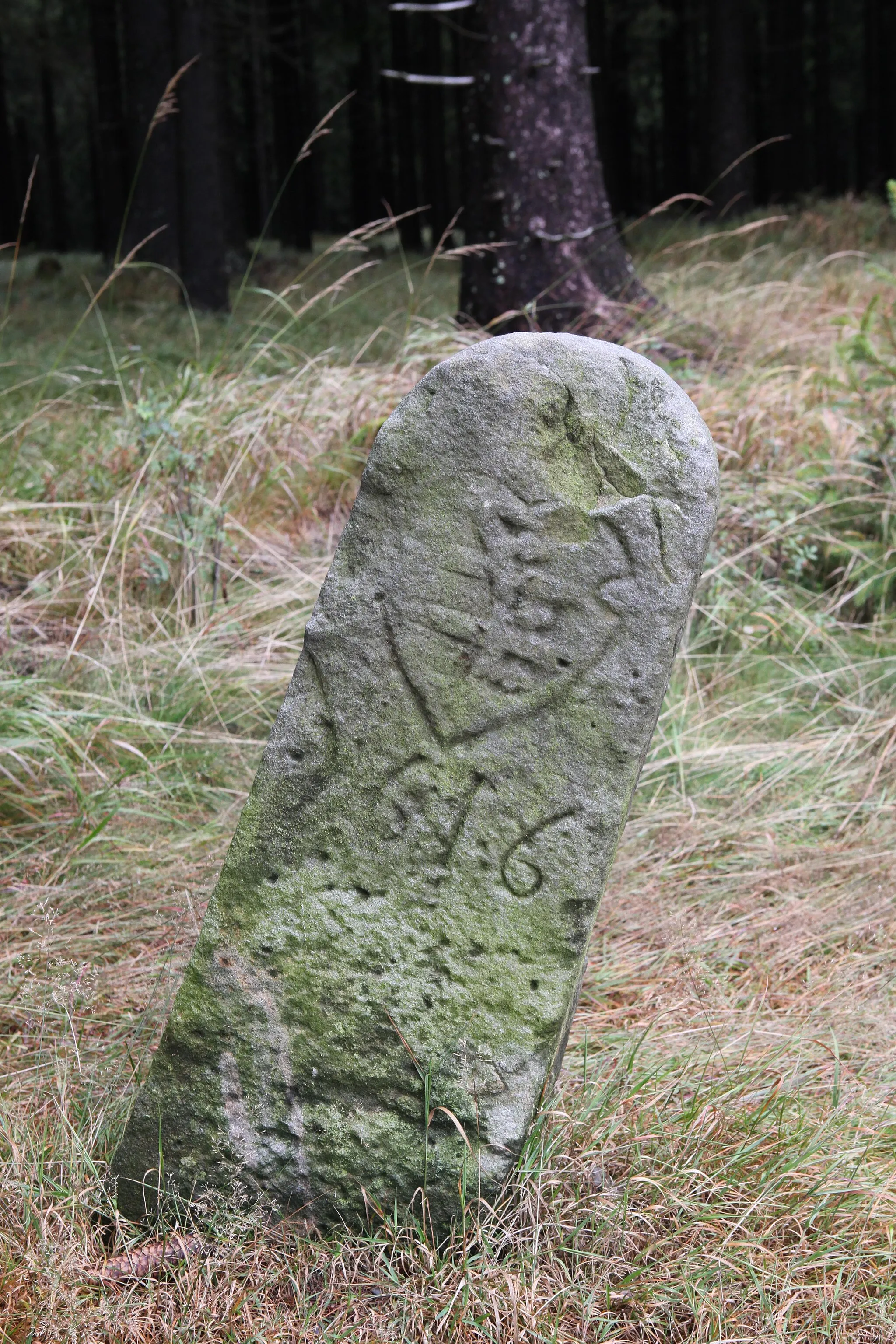 Photo showing: Rennsteig Abschnitt Saarzipfel – Hohe Heide Landesgrenzstein31