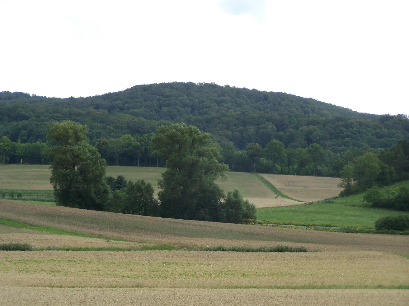 Photo showing: Der Staufelsberg bei Wolfmannsgehau.