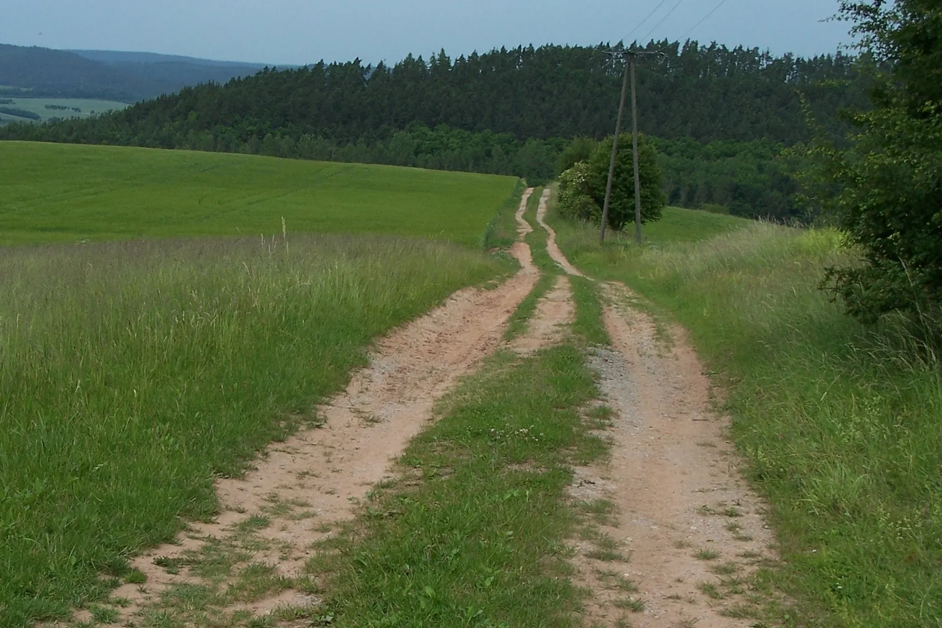 Photo showing: Feldweg bei Herda, im Hintergrund der mit Fichten bestandene Kolmische Berg.