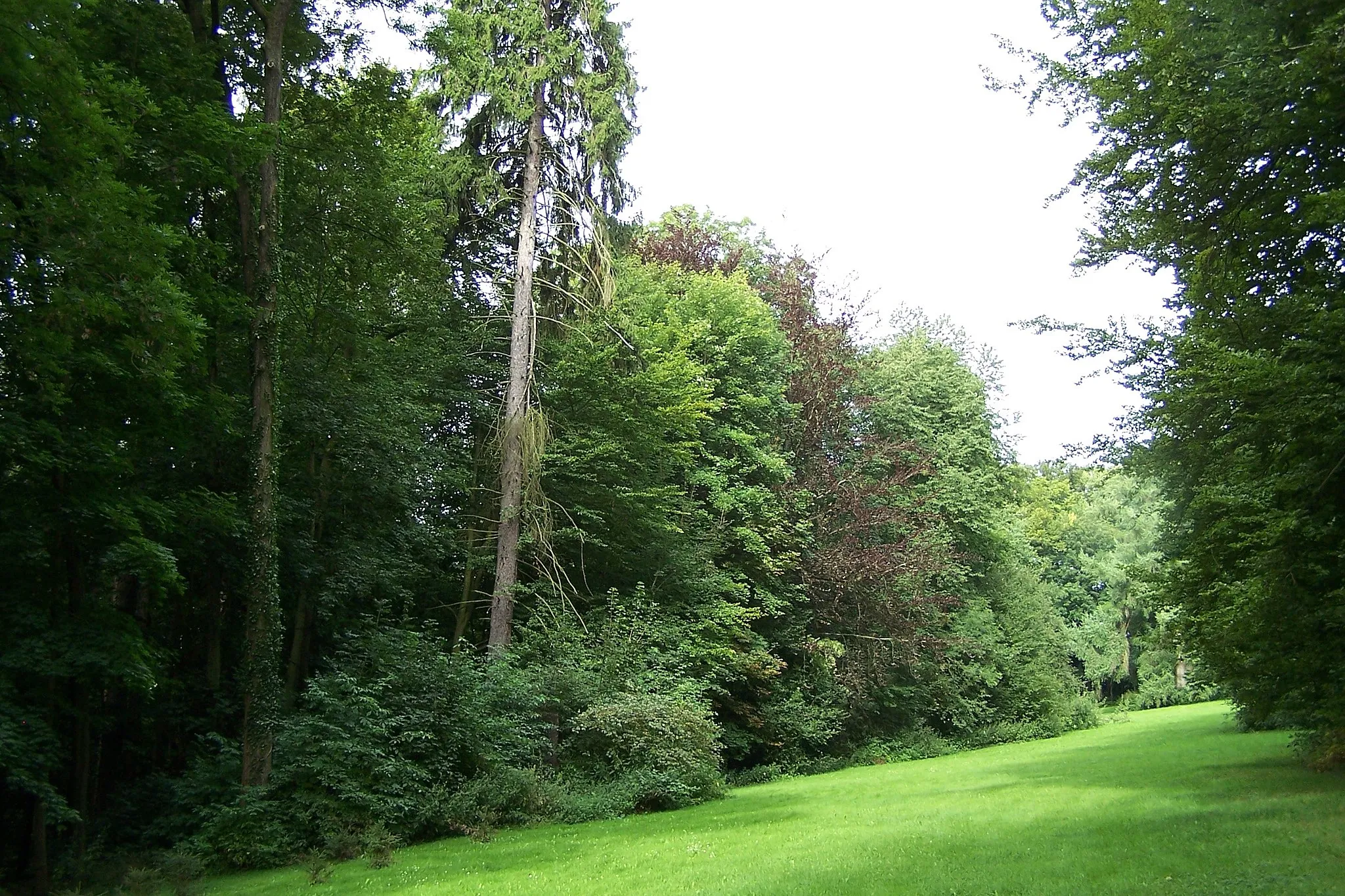 Photo showing: Ansichten und Details zum Volkspark in Gehaus.