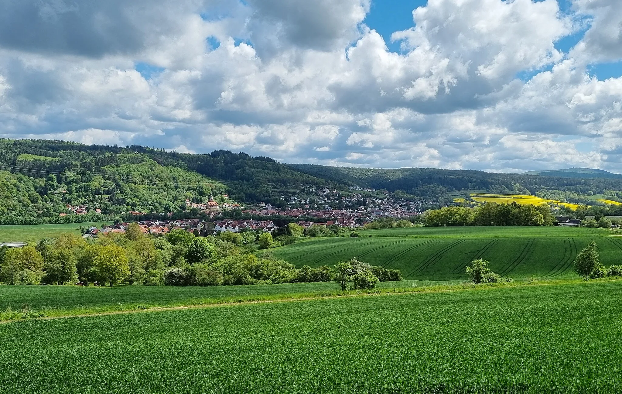 Photo showing: Ansicht Wasungens vom Schwarzbacher Berg herab
