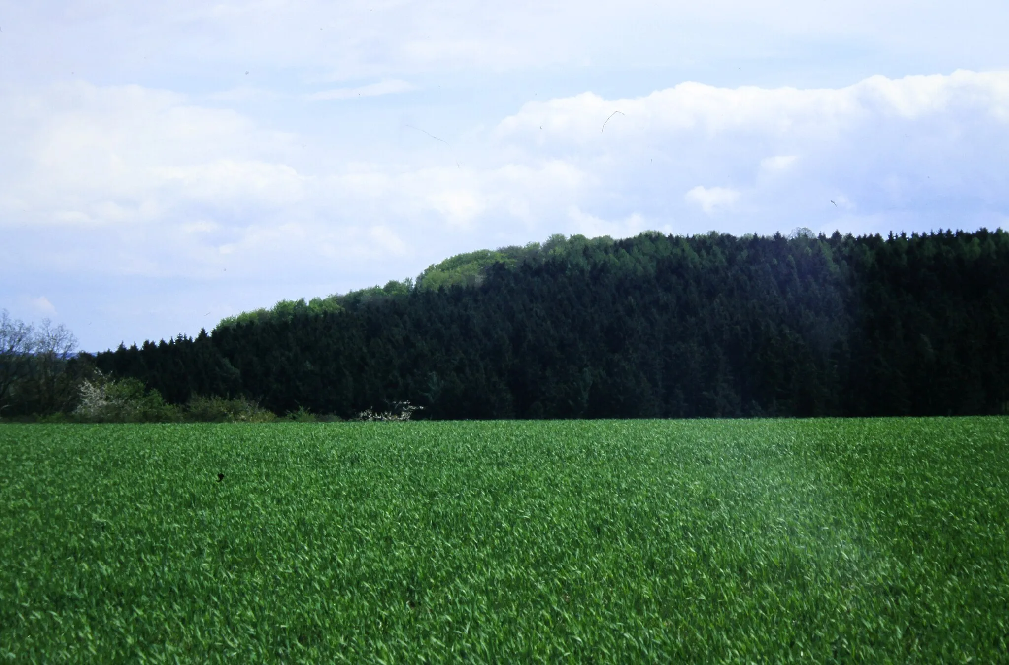 Photo showing: Ermelsberg von W, 1997