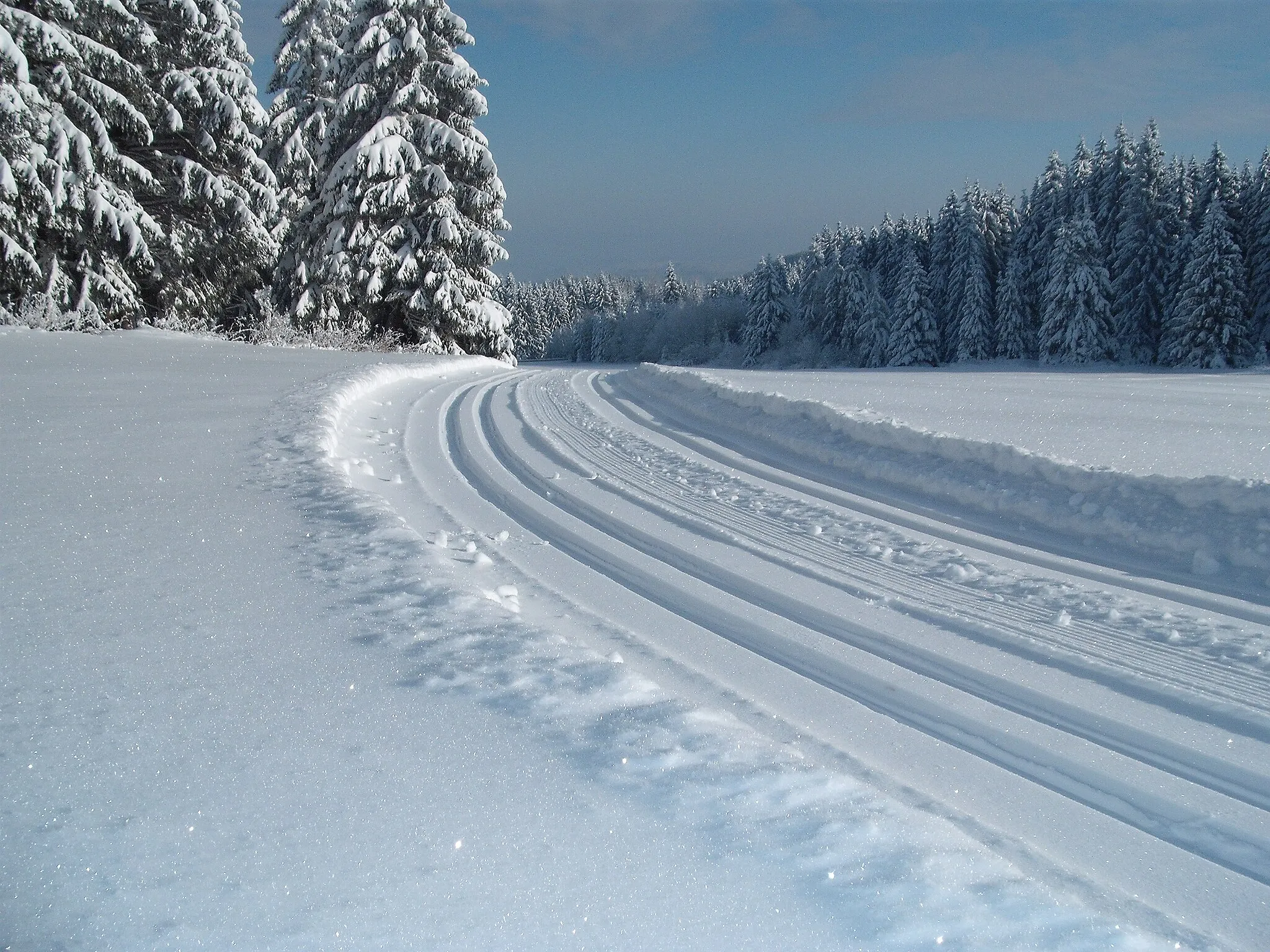 Photo showing: Winterimpressionen in Oberland am Rennsteig - gespurte Skiwanderwege