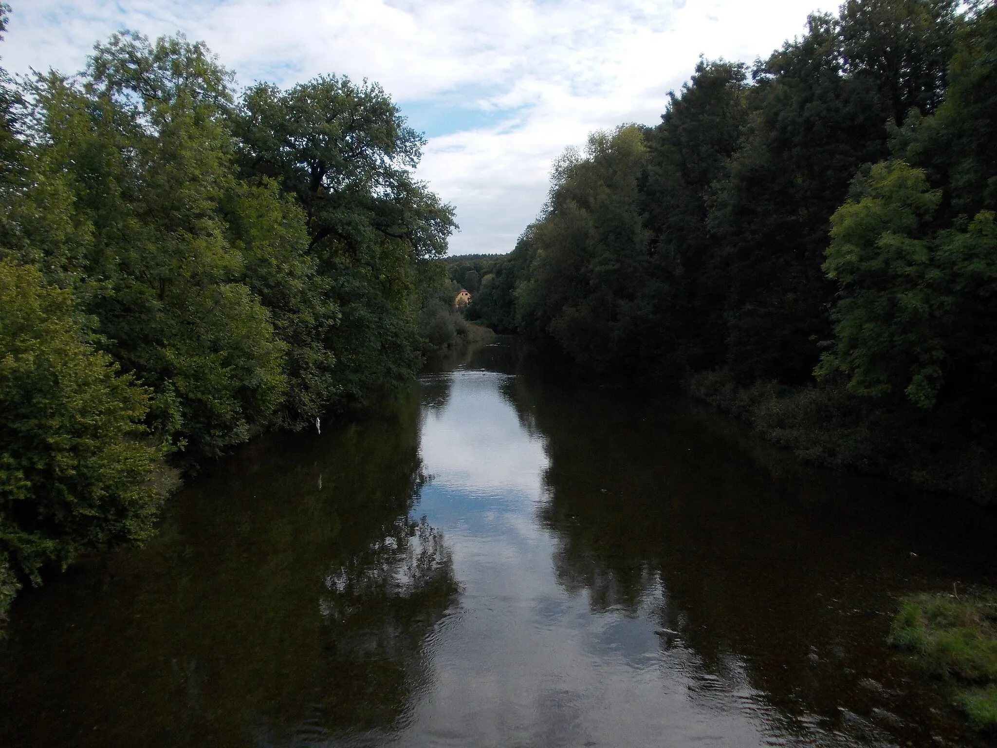 Photo showing: Weisse Elster river, view from the wooden bridge of Wünschendorf (Greiz district, Thuringia)