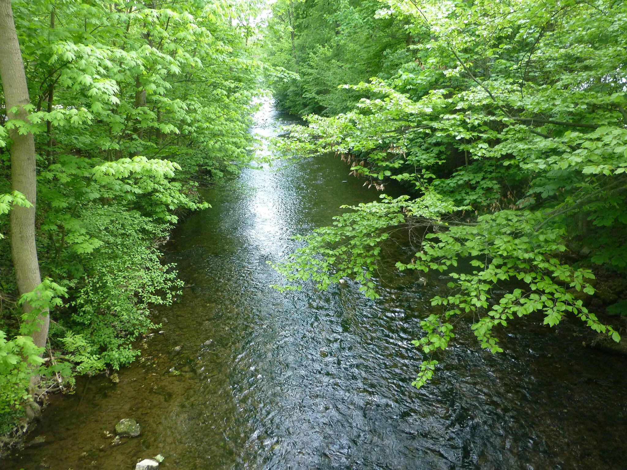 Photo showing: Die Gera in Arnstadt im südlichen Stadtgebiet